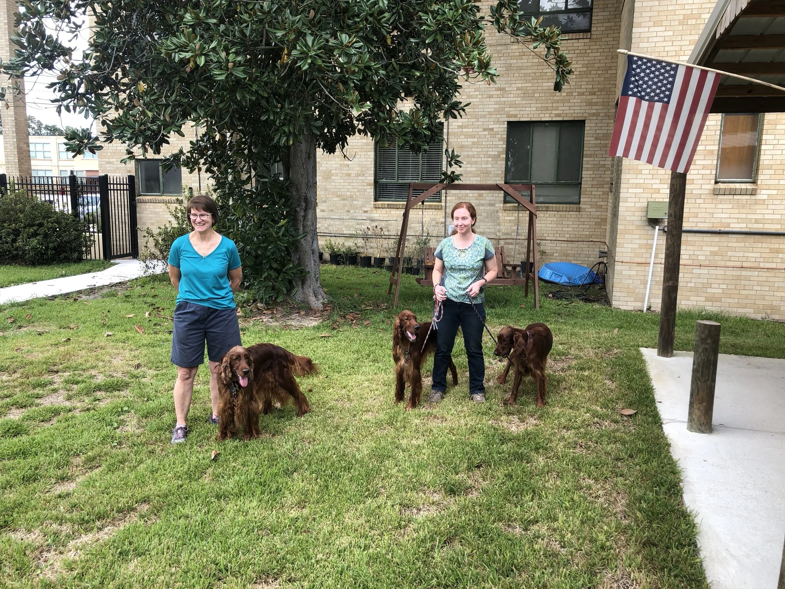 Blessing of the Pets