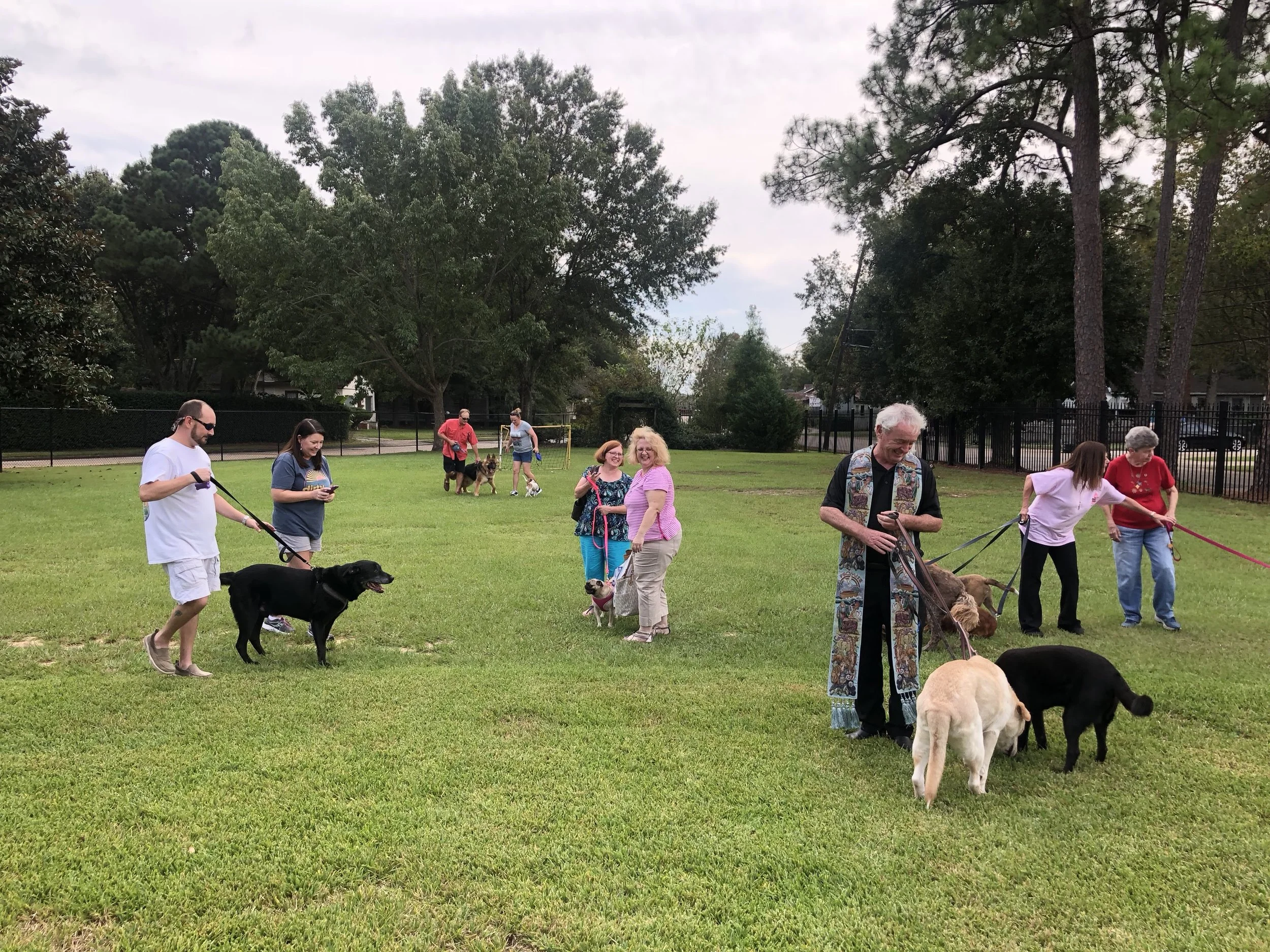 Blessing of the Pets