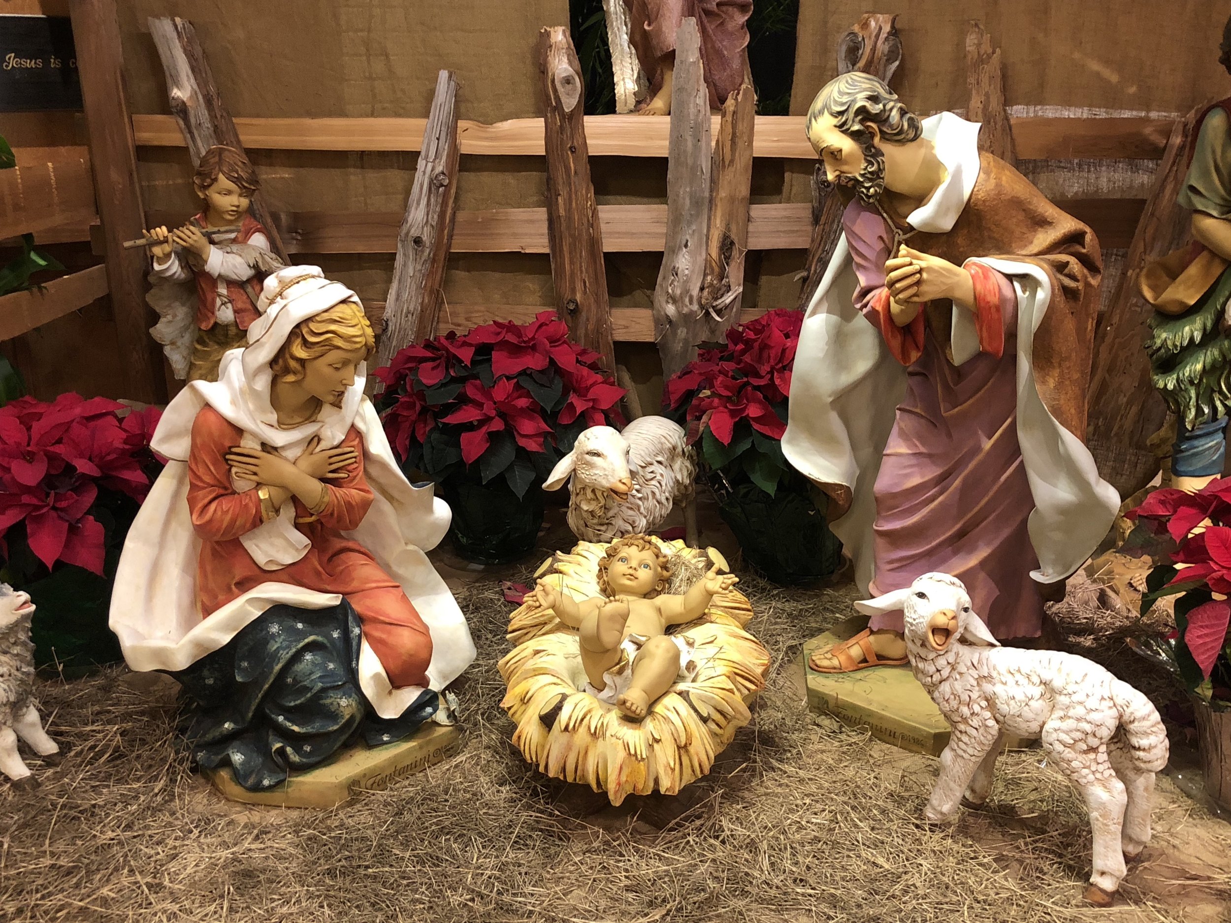 2018-19 Nativity