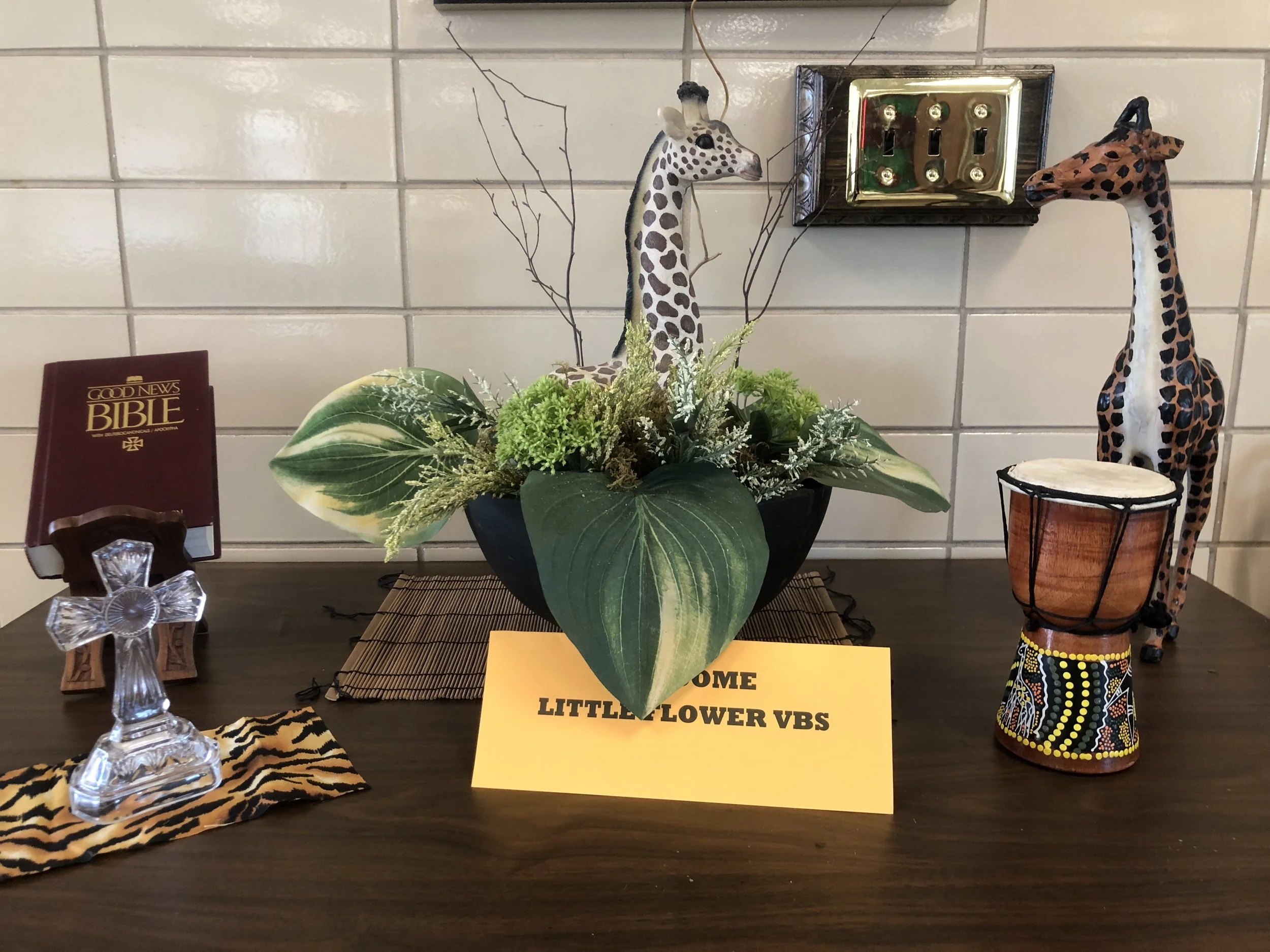 VBS "ROAR!" June 2019