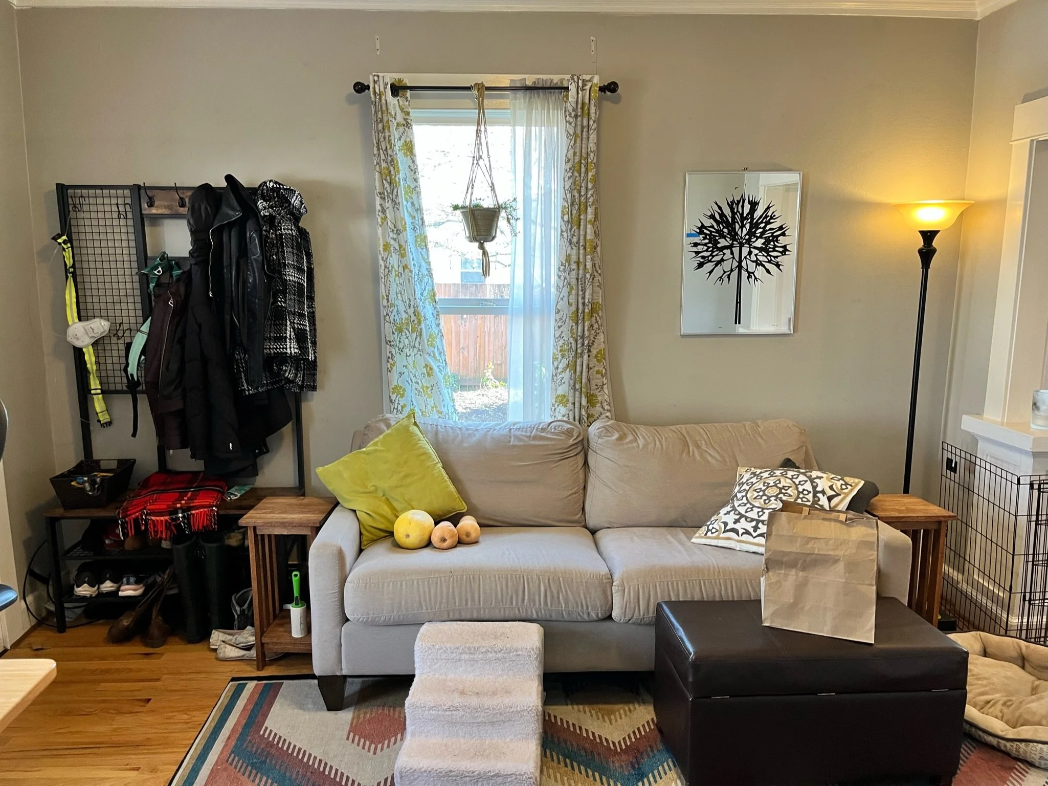 Copy of IMG_8879.jpeg