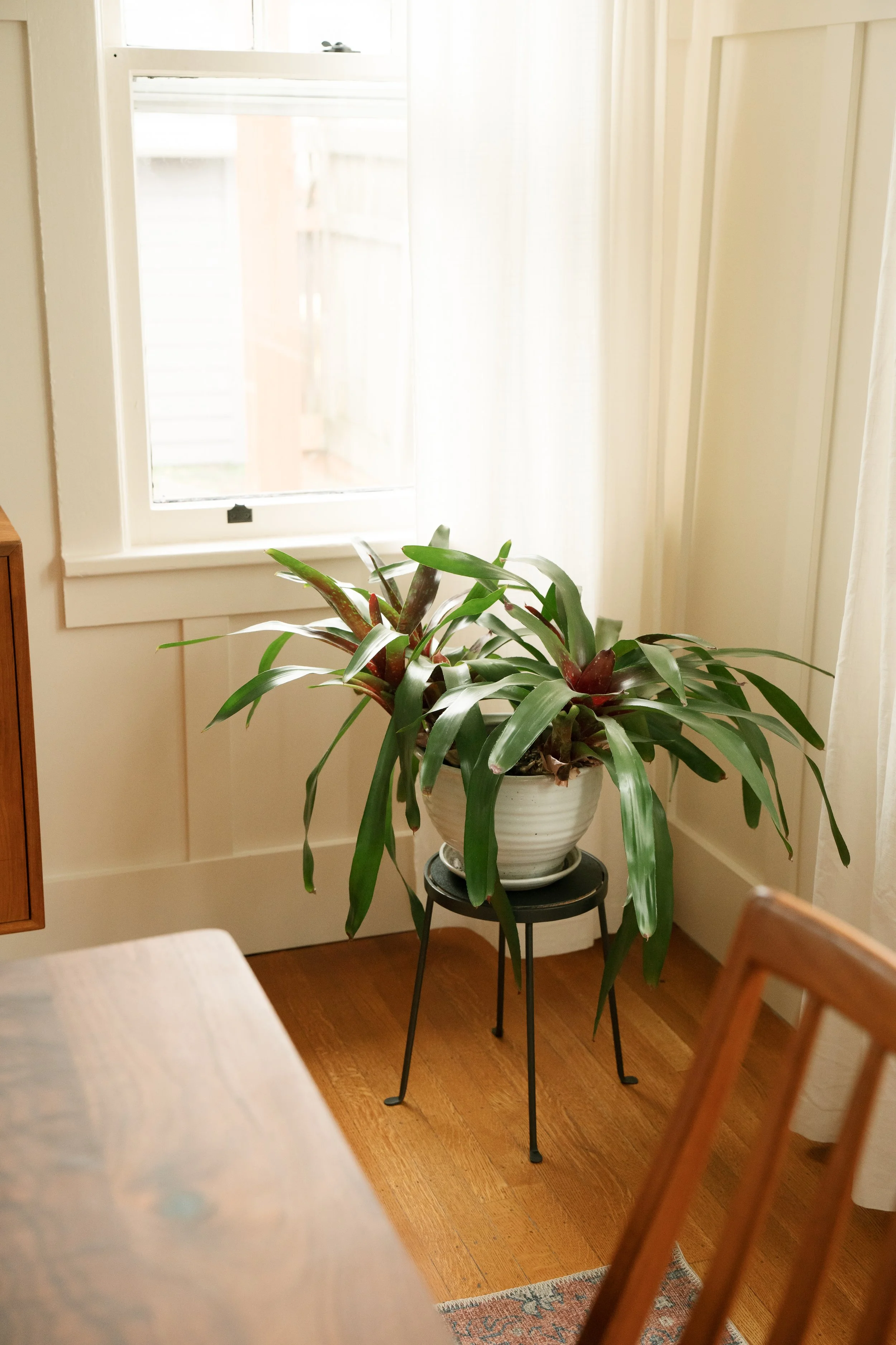 dining-12.jpg
