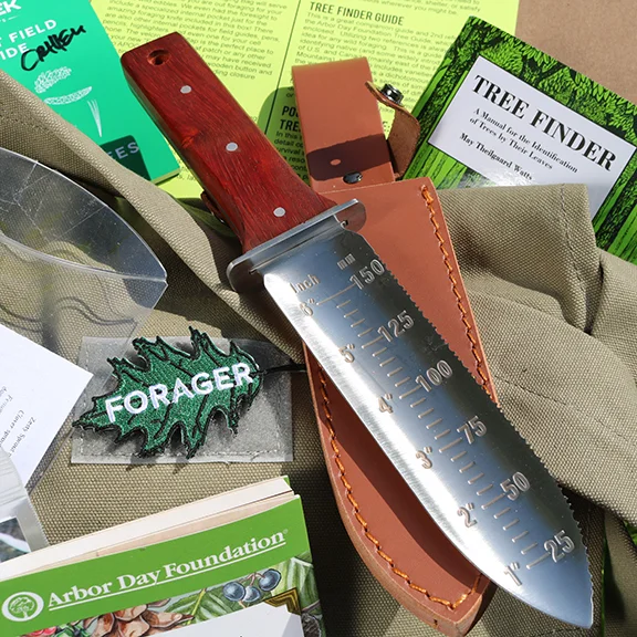 April-2017-Forager-Box-Corner-4.jpg