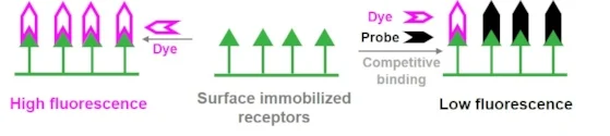 metabolite.jpg