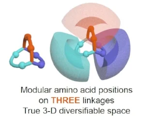 nanotein structure.jpg