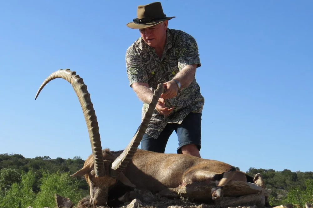 Ibex - Nubian — Texas Divide Ranch