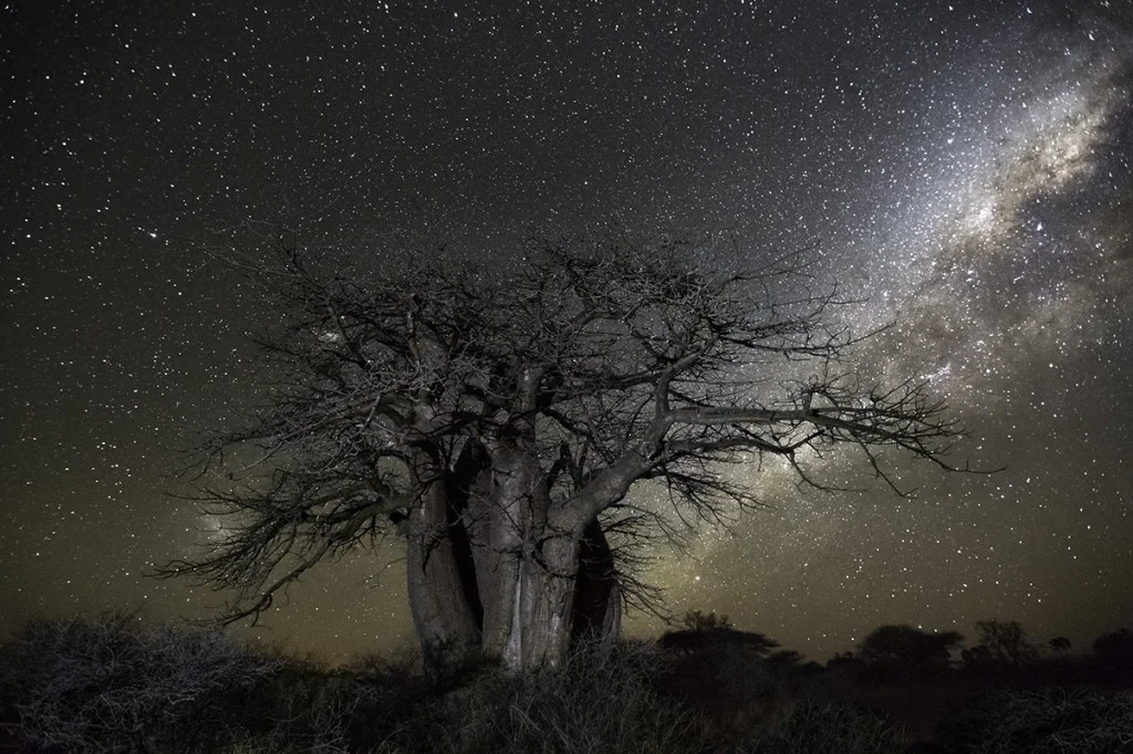 Photograph by Beth Moon