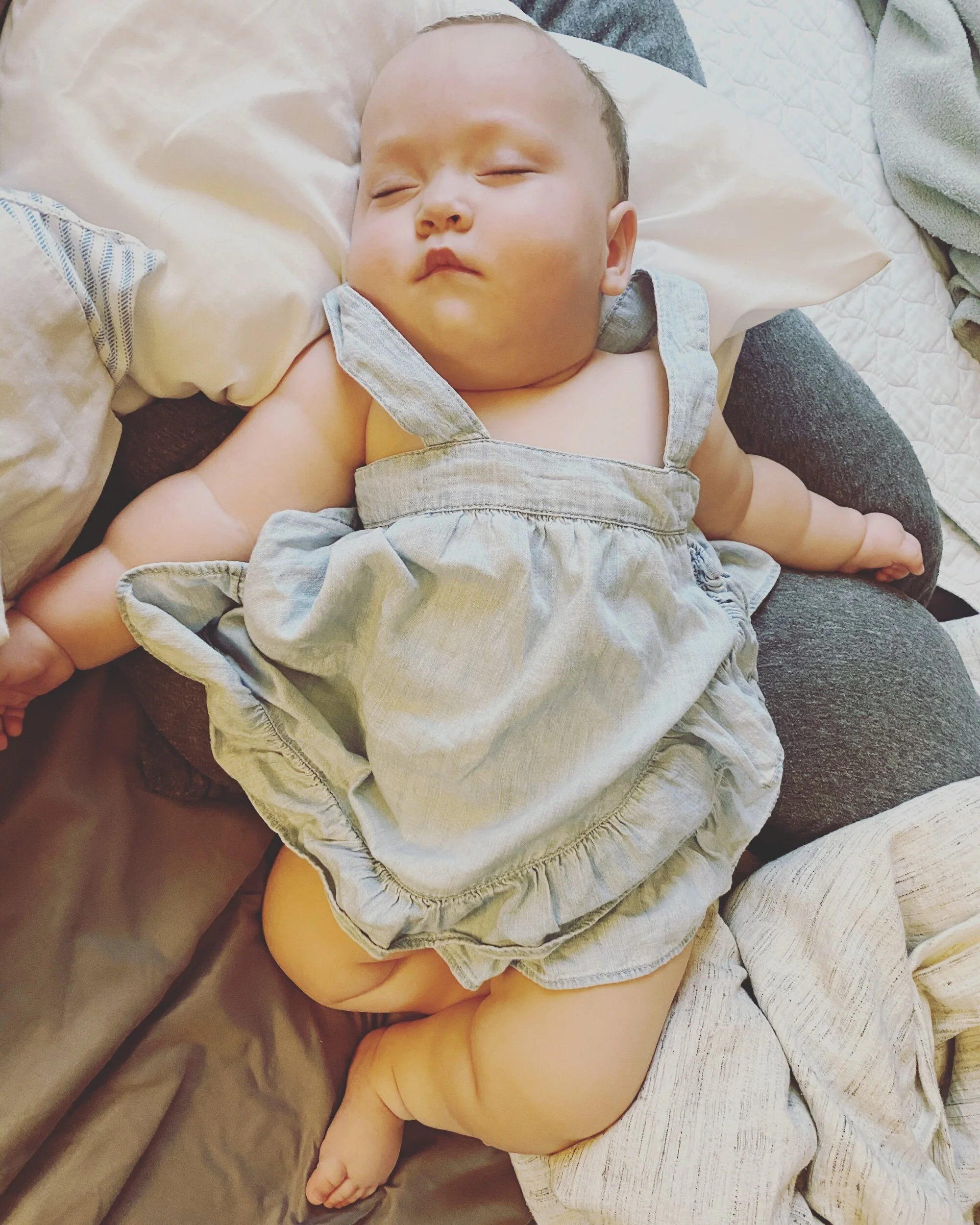 Why the Zhi Needs the Zzzzz’s: A Stream on Sleep and the Circle of Life