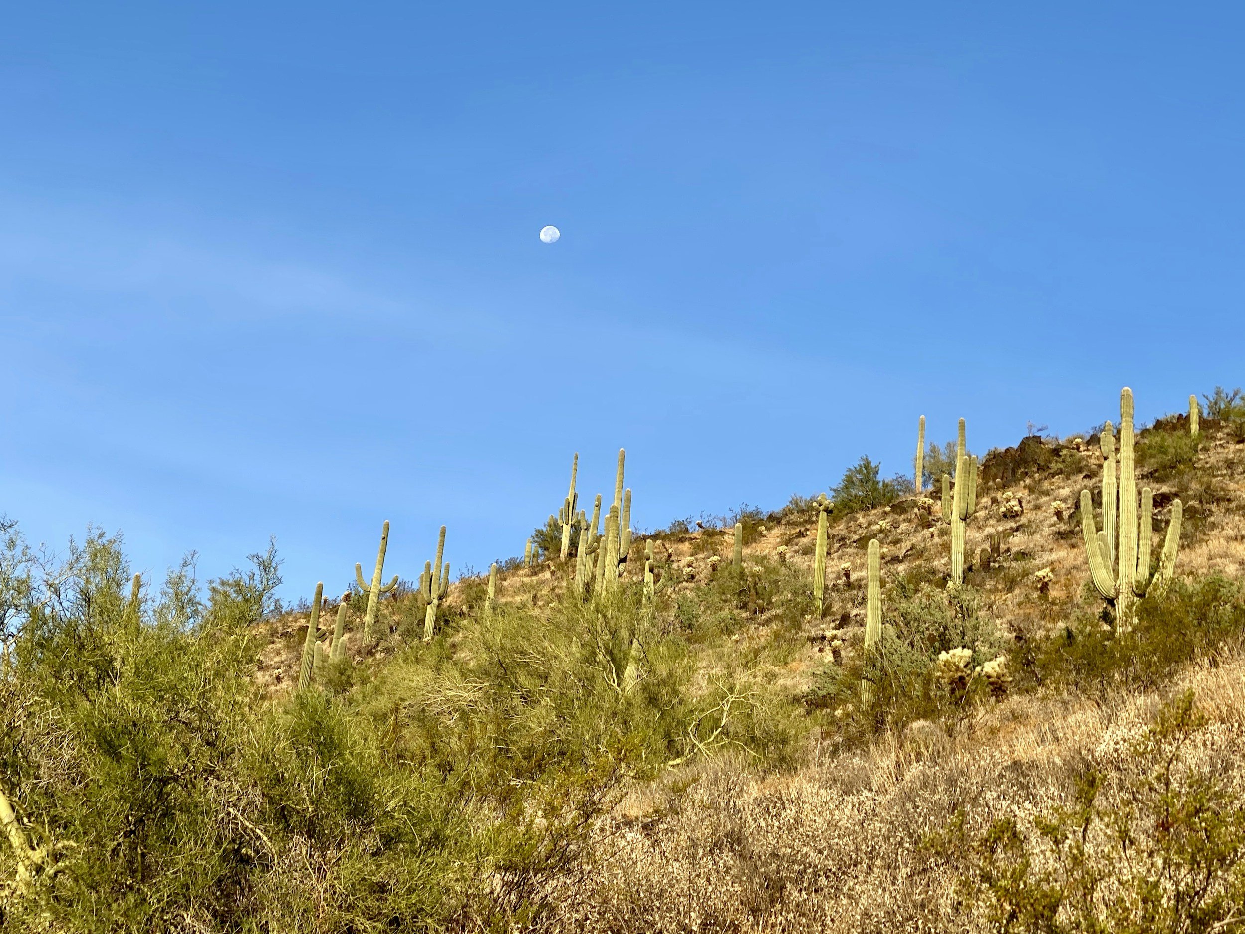 Cave Creek new listings jumped 64% in September. What sellers should do now.