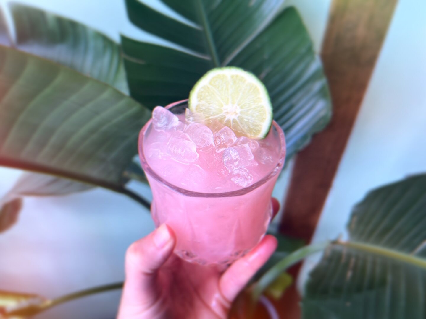 Hawaiian Sunset 🌸 🌅 @albanydistillingco ALB Vodka, lemon &amp; lime juice, Orgeat (almond syrup), a touch of grenadine. A welcomed addition to our spring cocktail menu; has us dreaming of warmer days ahead.

Open 1-11 🍻✨