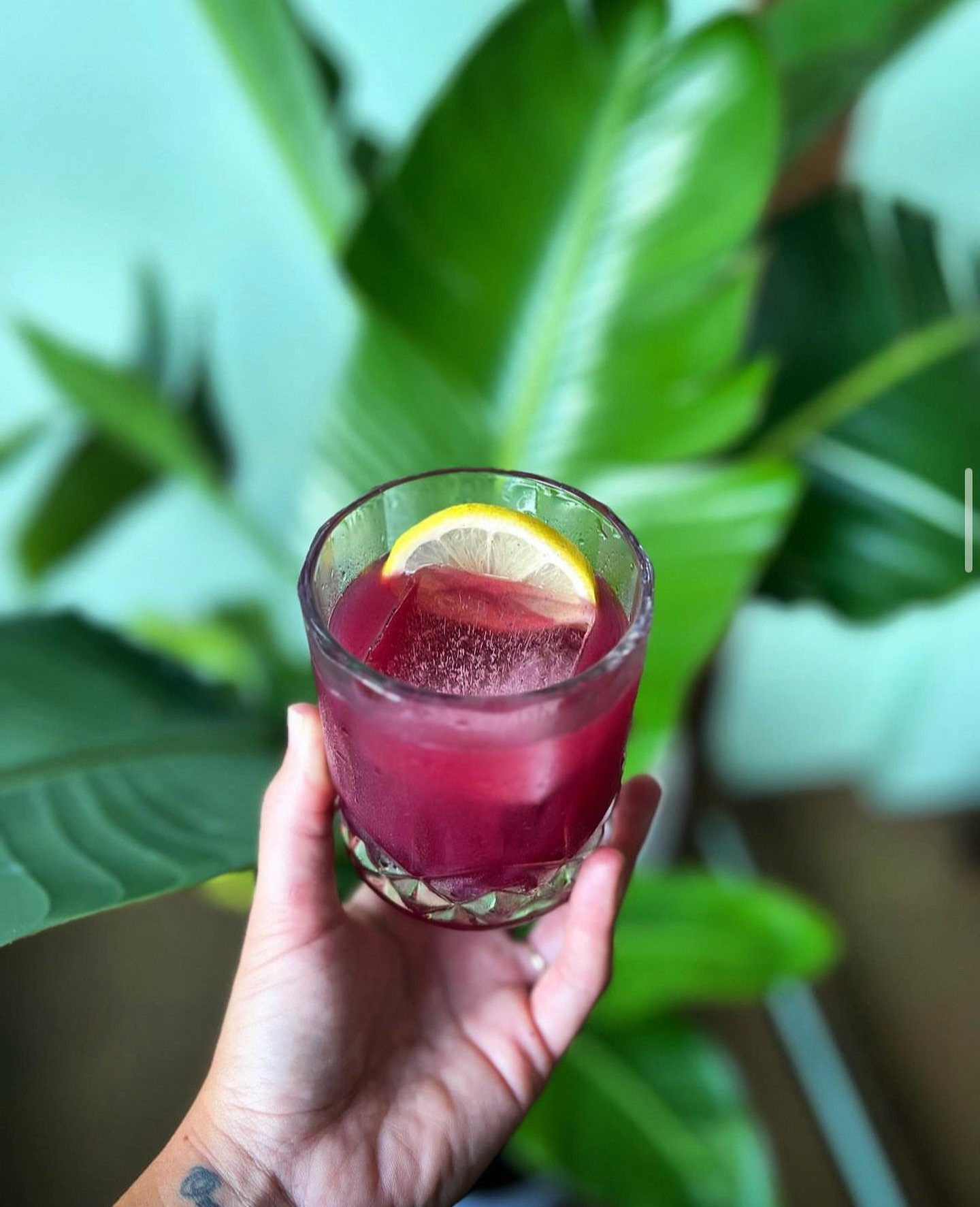 We&rsquo;re back in action tonight at 4pm! Come enjoy a perfect  cocktail to enjoy in between summer and fall; the Blueberry Bramble. Made with @thebettermandistillingco Cosmic Soul Dry Gin, house made blueberry syrup, and lemon juice 🫐🍋