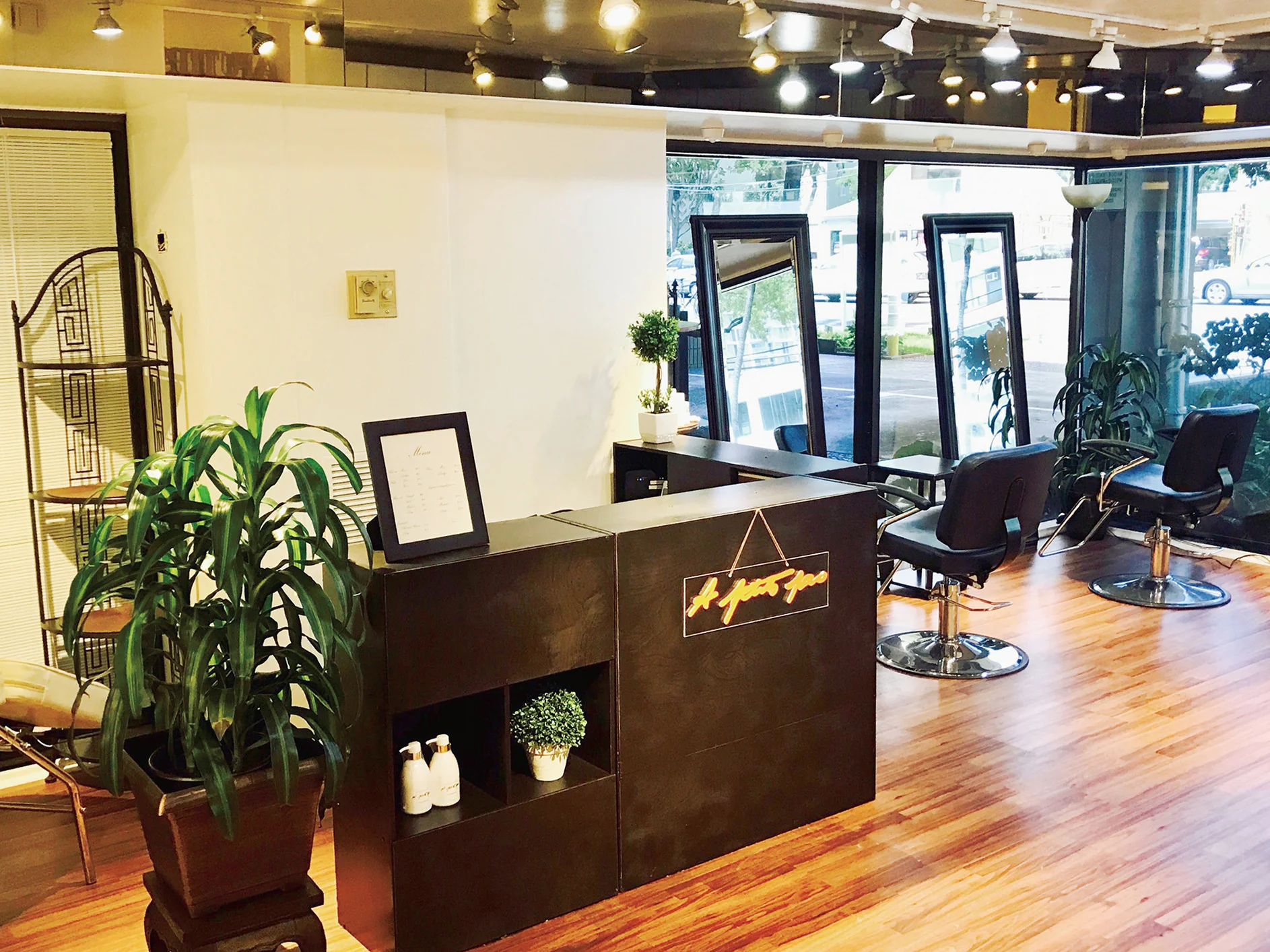 Aputipa_Salon.jpg