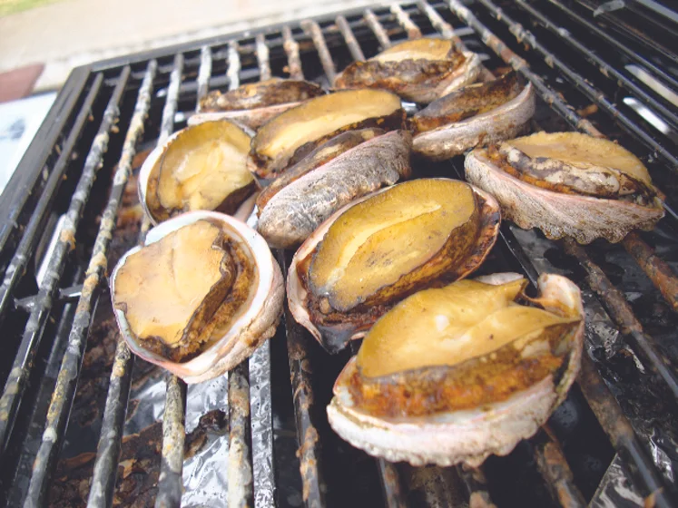 KCC_Abalone.jpg