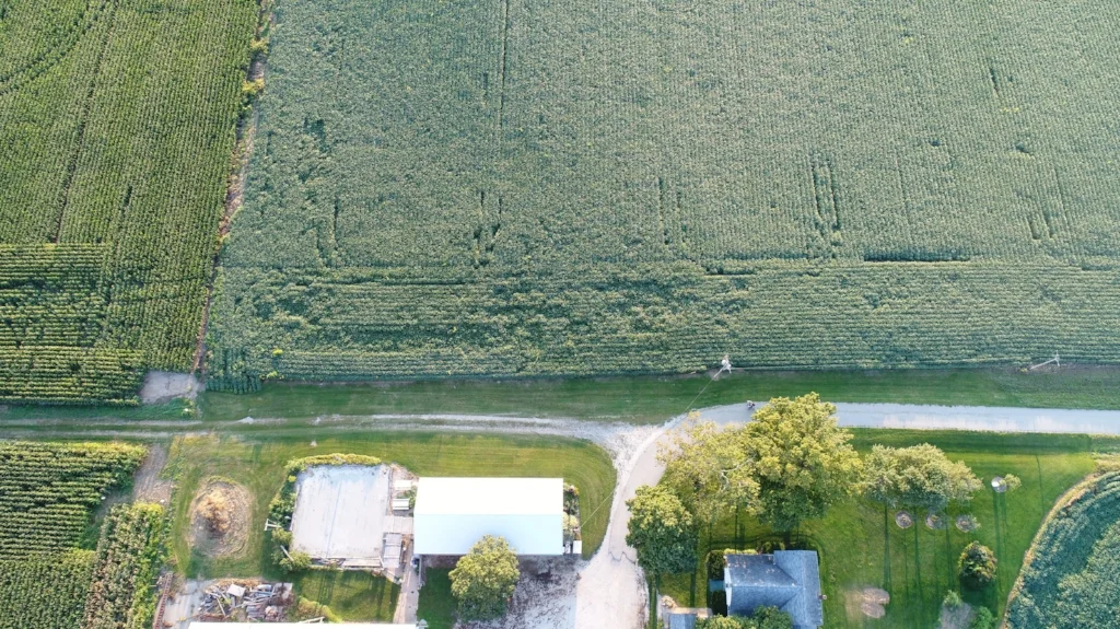 DJI_0126.JPG
