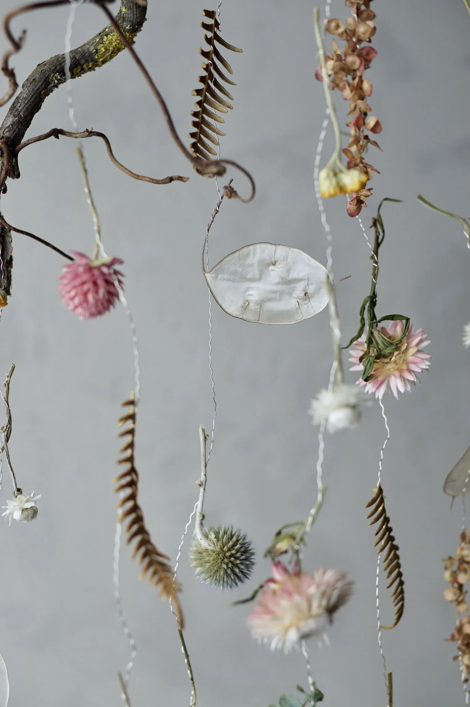 Colourful dried flowers and small fern leaves suspended in the air by fine silver wire
