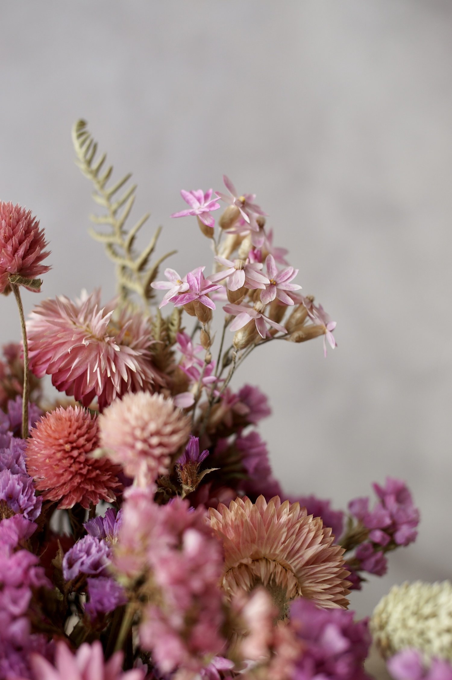 pink-british-dried-flowers.JPG