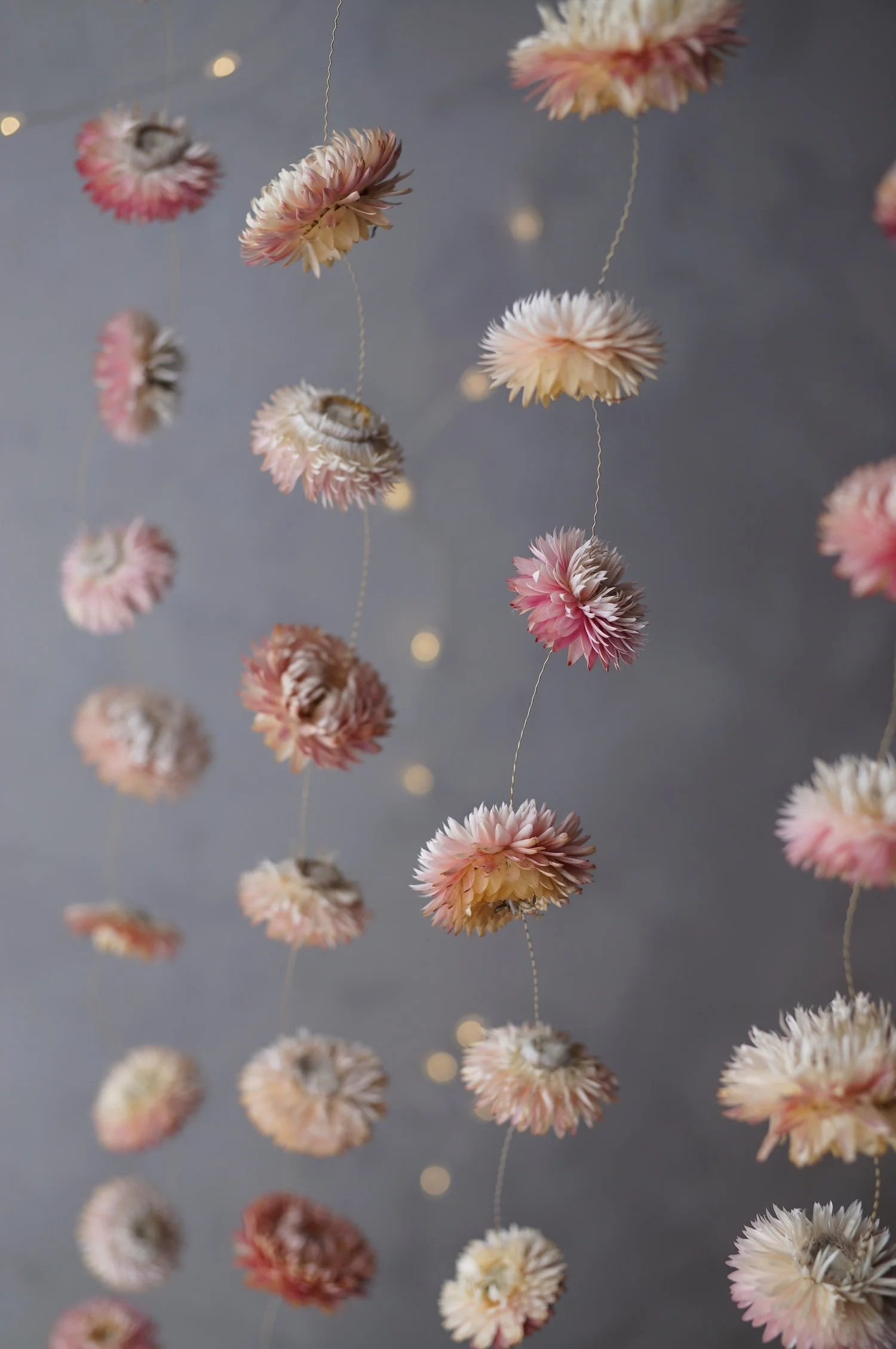 Several strands of pale pink dried flower garlands hanging in front of fairy lights
