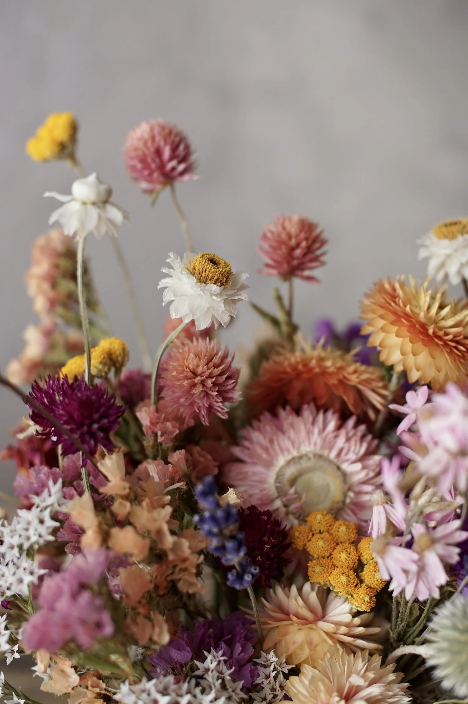 dried-flowers-british-colorful.JPG