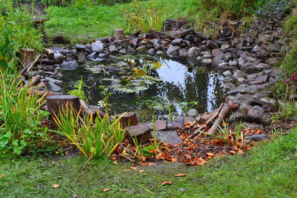 Around the edges we added leaf litter, branches and logs