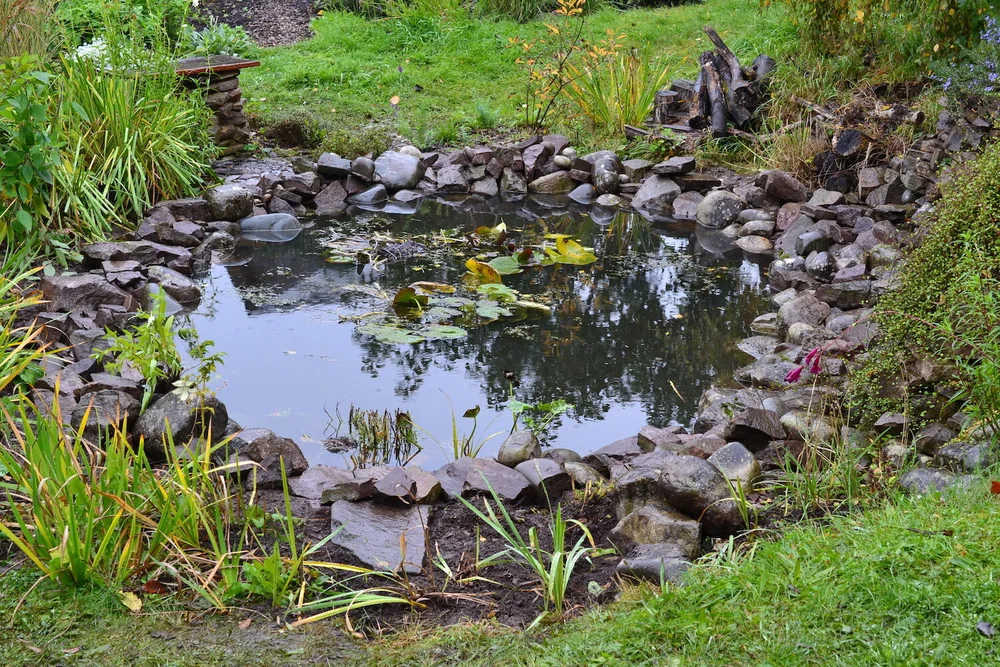 We replaced any soil that was moved and replanted a few irises.