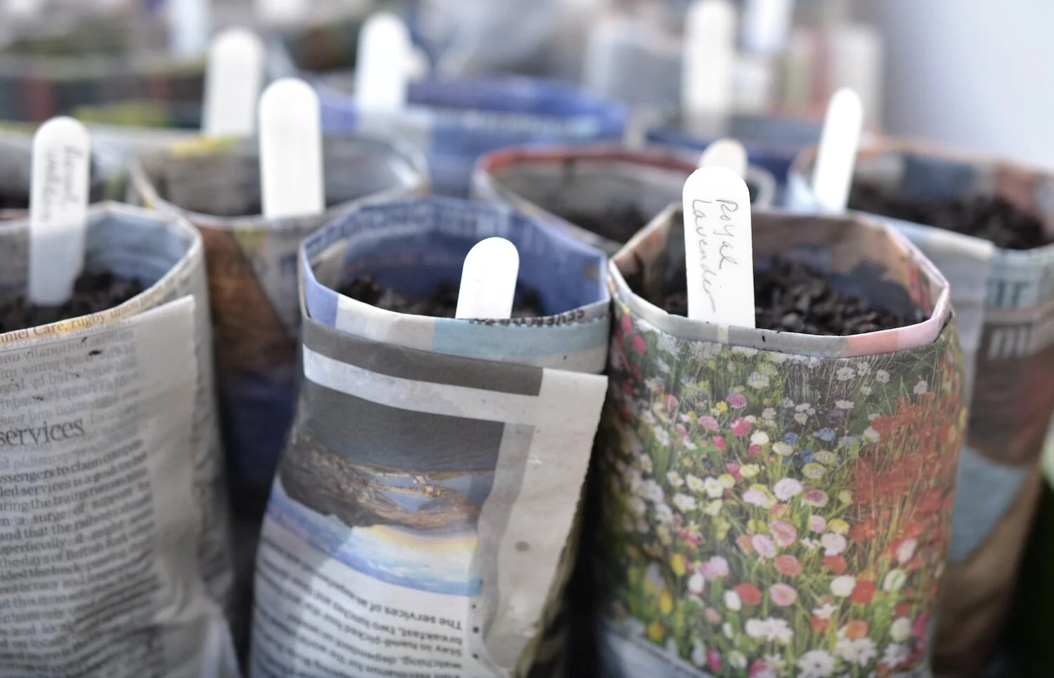 Newspaper seedling pots