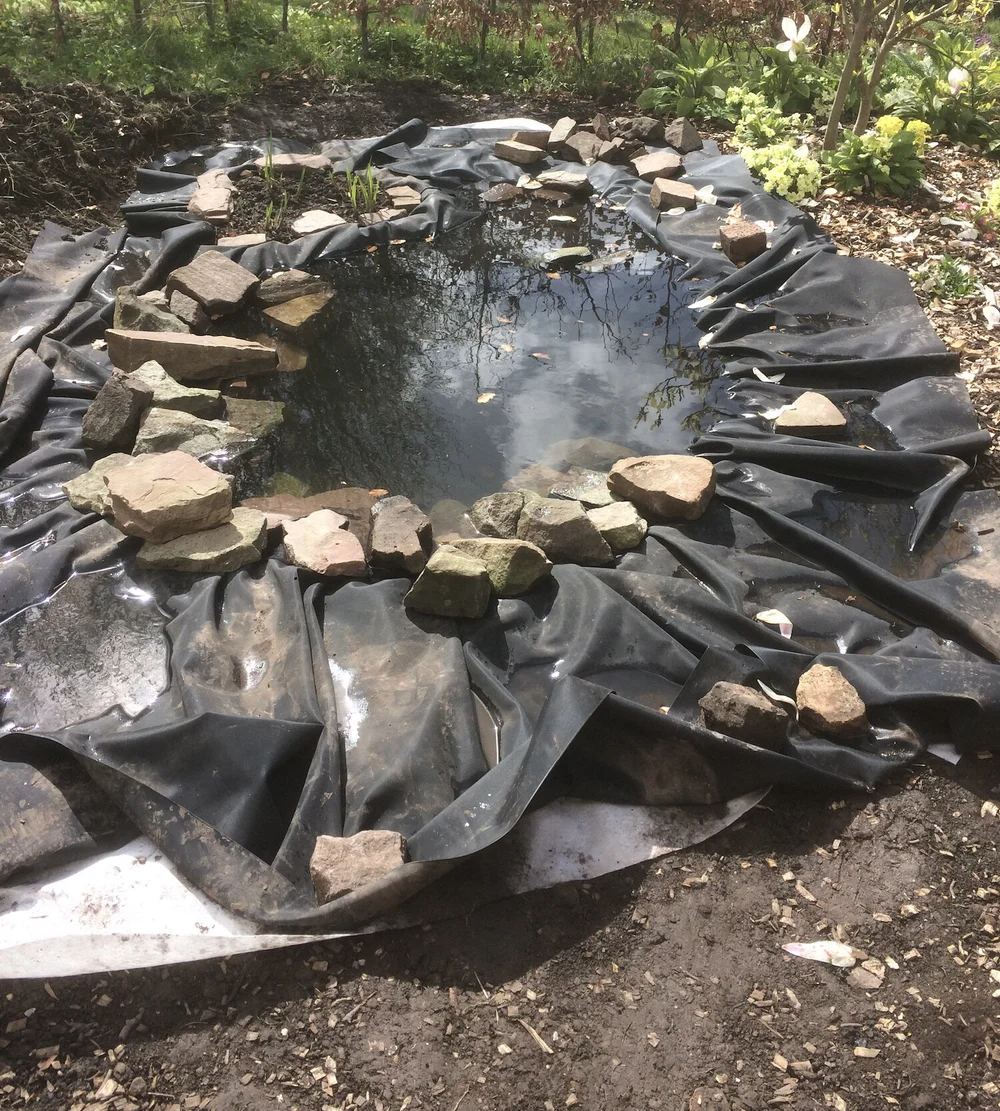 Placing rocks in the pond.