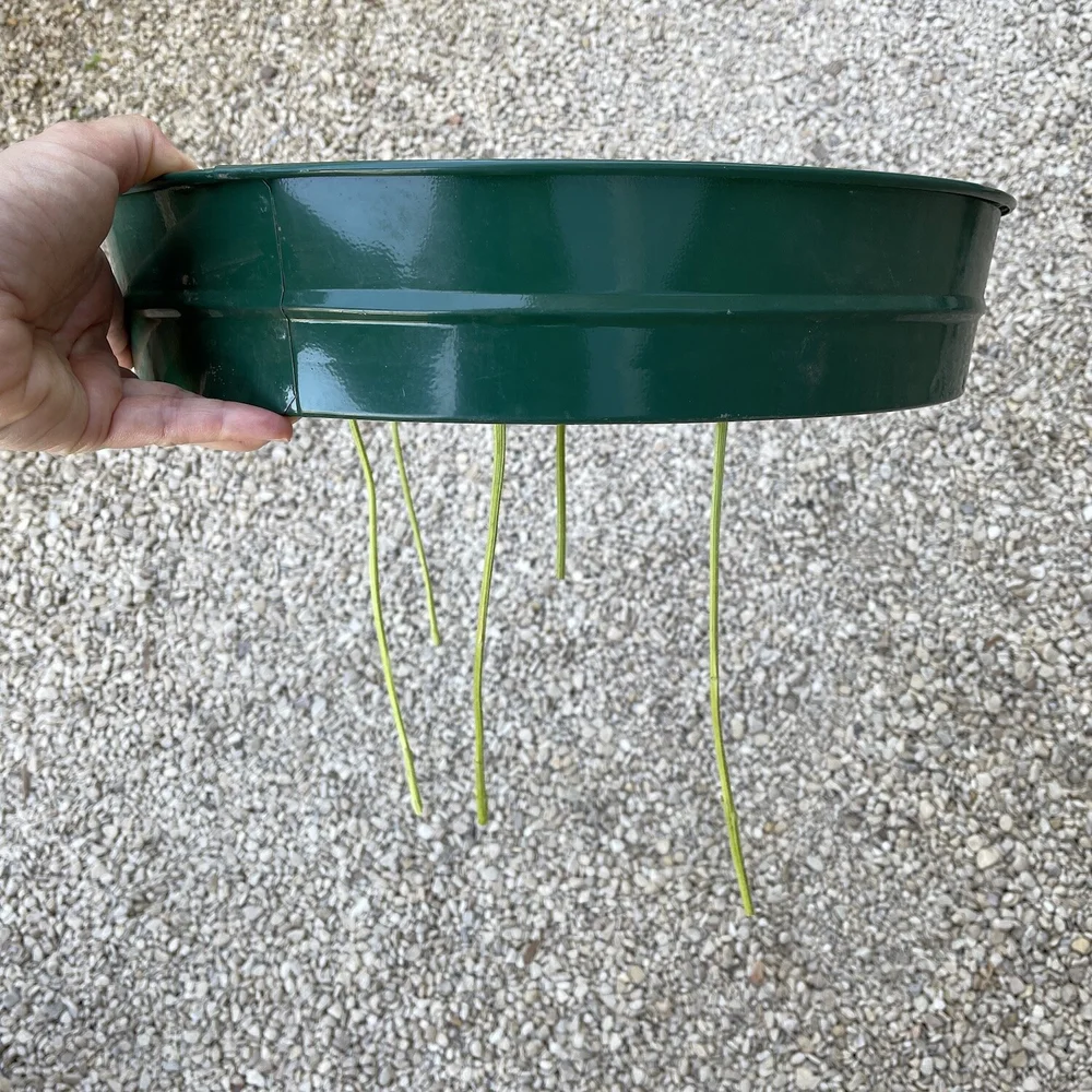 The stems hang from the bottom of the sieve