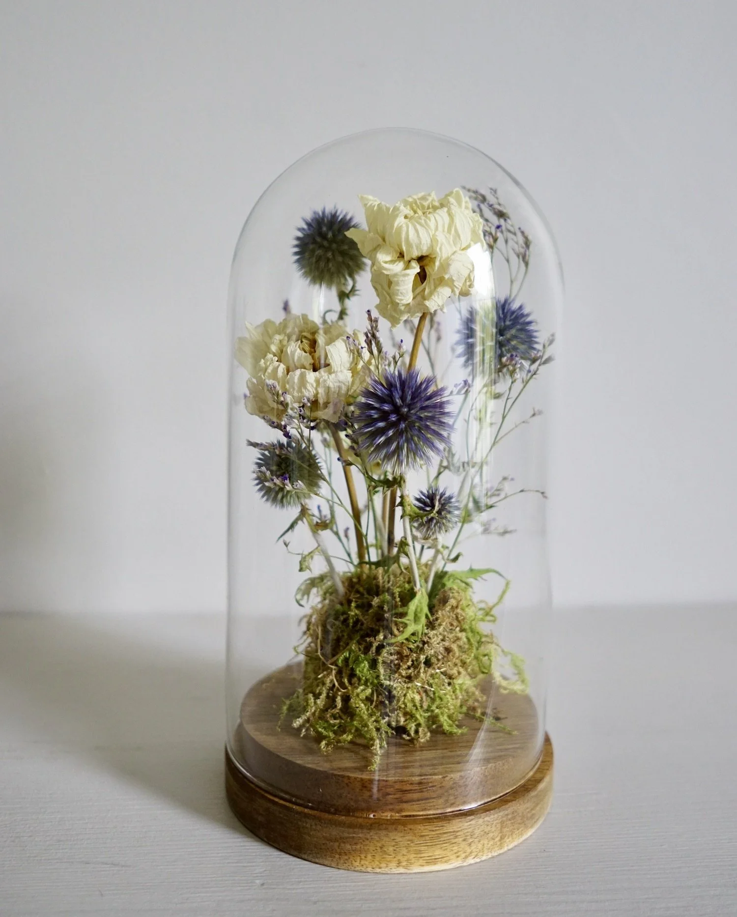 Small dried flower dome custom order — Harebell & Bee