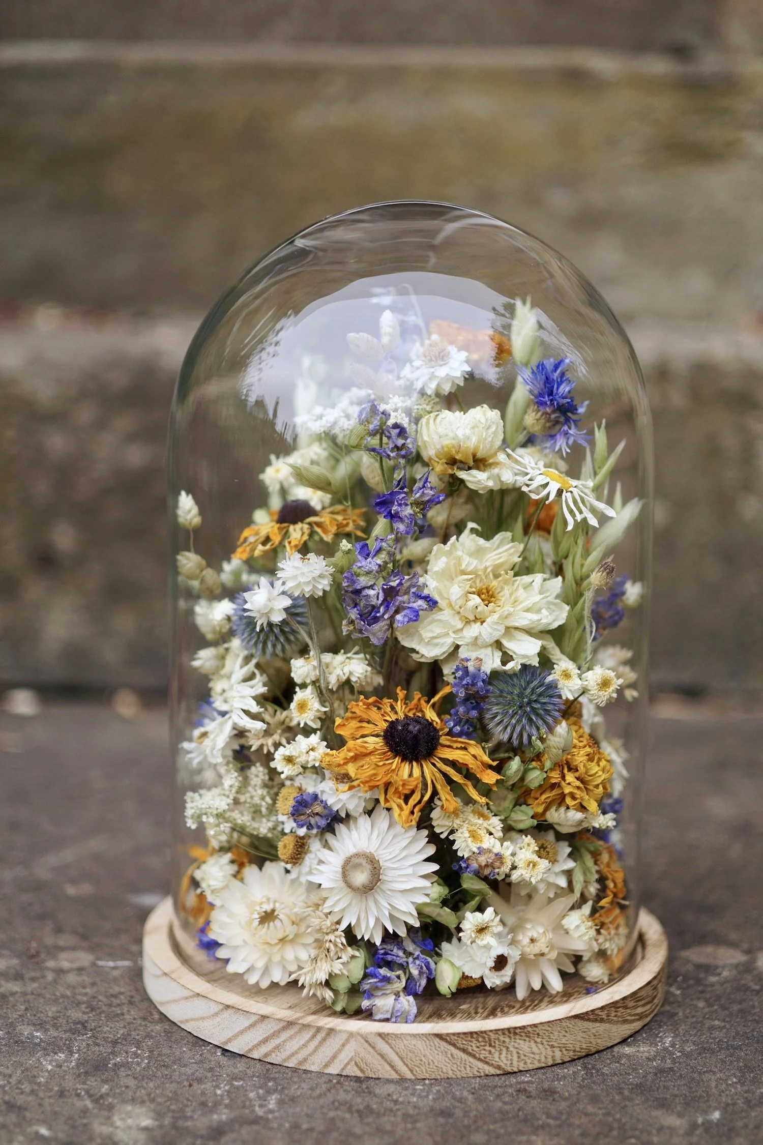 Large dried flower dome custom order — Harebell & Bee