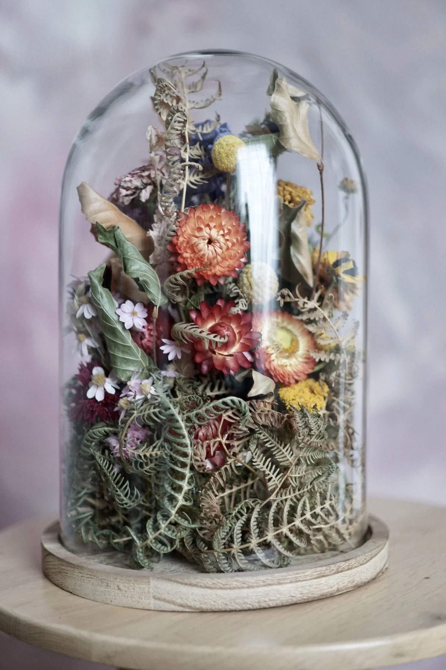 Large dried flower dome custom order — Harebell & Bee