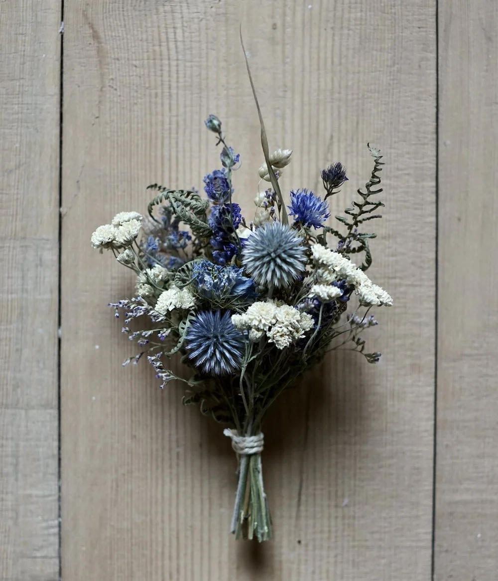 This Achillea is a bright white filler for dried arrangements