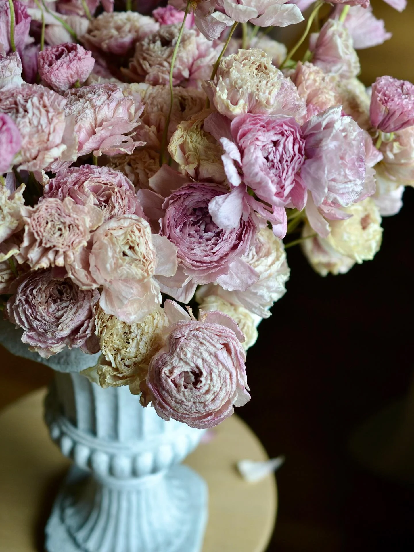Ranunculus are one of those flowers you think will never dry well until you try it. They end up with all those beautiful crepe-papery layers of petals and the dry stems are strong. The colours deepen with drying and are just as lovely as they are fre