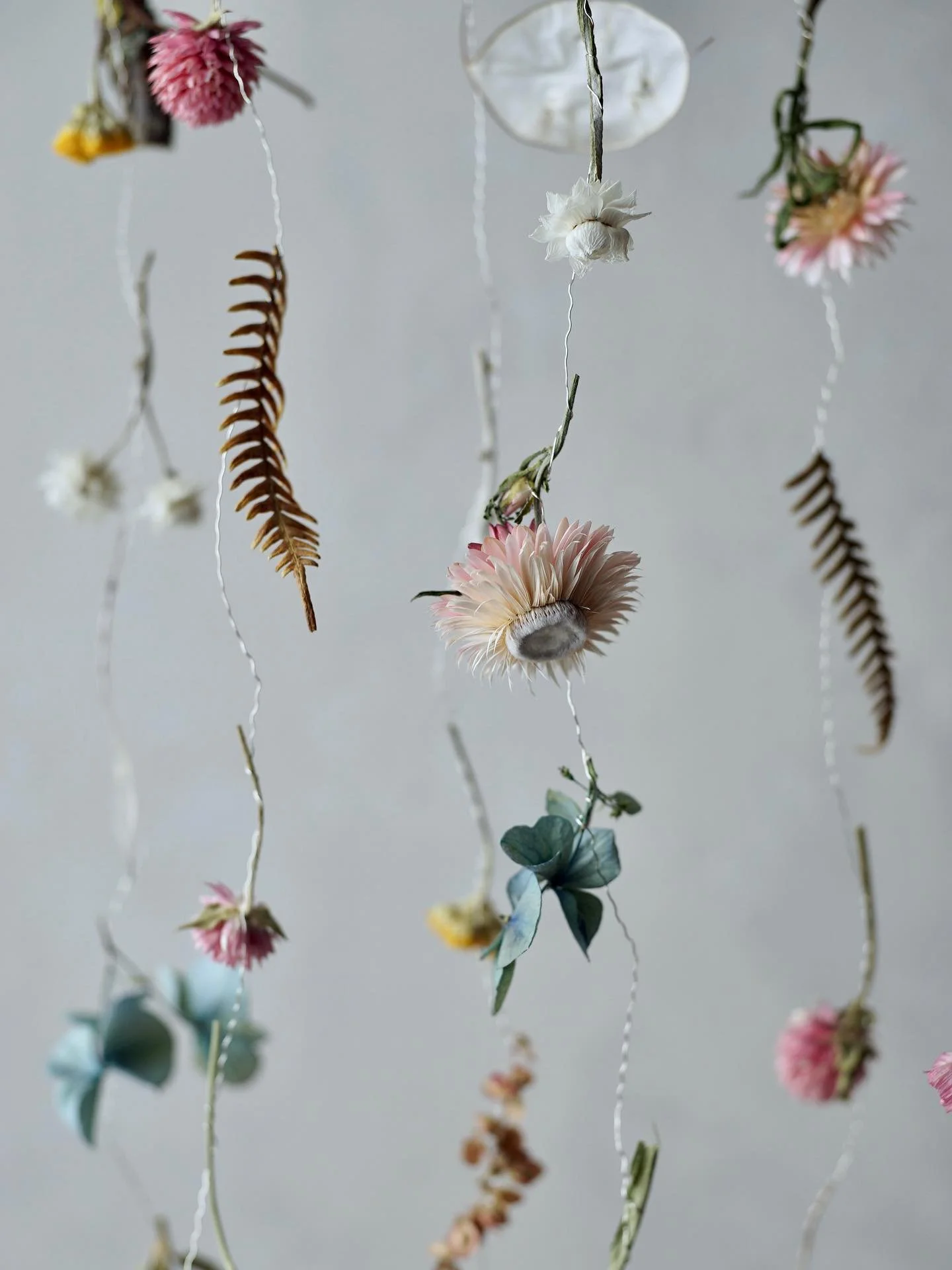 Flower mobile number two, in what might be my new favourite colour combination and a gentle transition from summer into autumn 🩵 

In the strings are dried gomphrena, hydrangea, bracken, globe thistle, ammobium, helichrysum, lonas, statice, honesty 