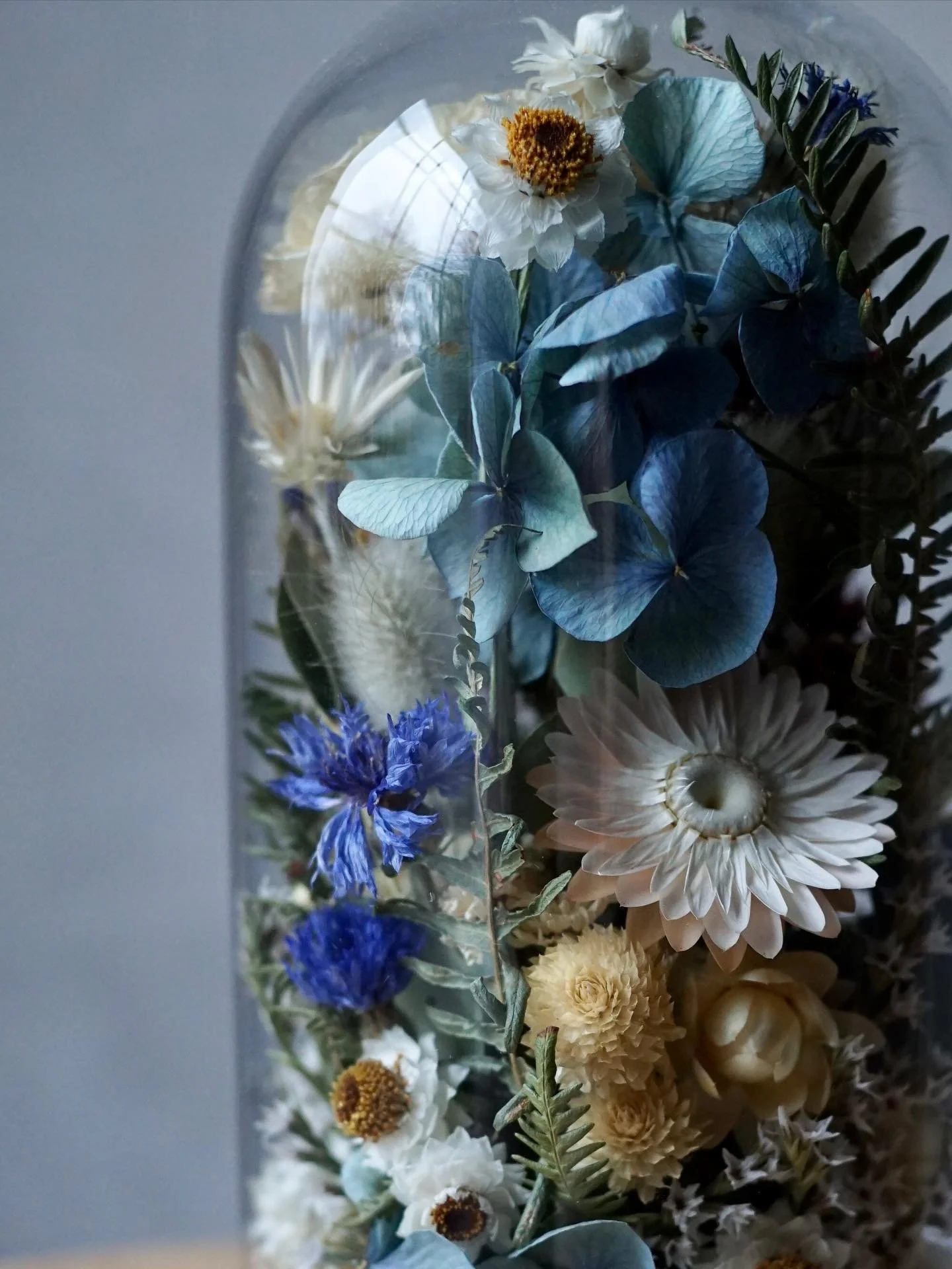 A peek at two dried flower cloches created over the weekend - a blue theme for both 🩵
I&rsquo;ll share more photos next week after the recipient has them in hand ✨

🩵🩵🩵🩵🩵

#belljar #belljarflowers #belljardriedflowers #belljarart