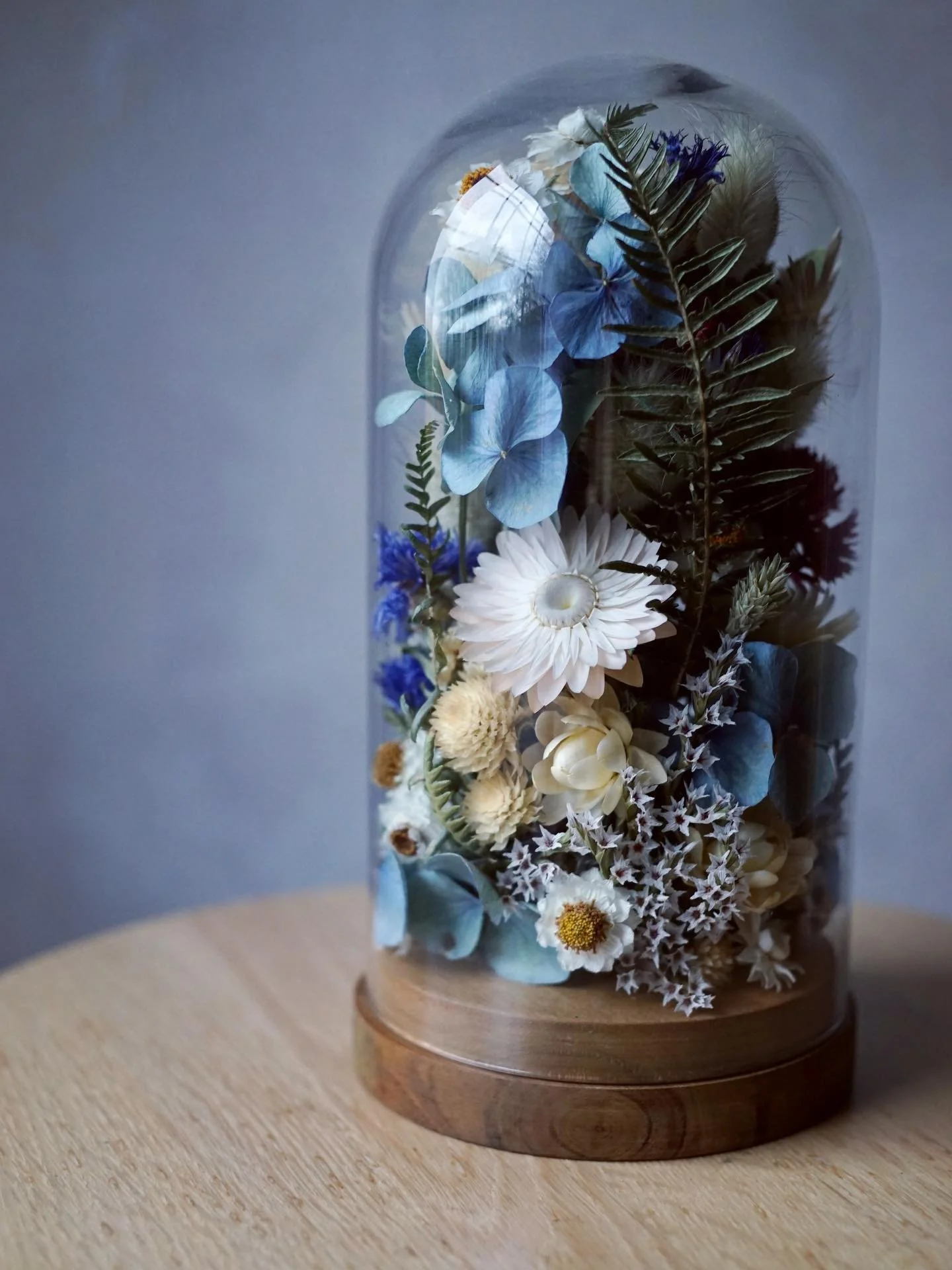 One of the two flower-filled bell jars delivered last week to a house with the most stunning view over the Usk valley 💚 Thanks for the tea and the chat Clare - hope to see you again soon ☺️

✨✨✨✨✨

#belljars #belljarart #driedflowerart #driedflowerc