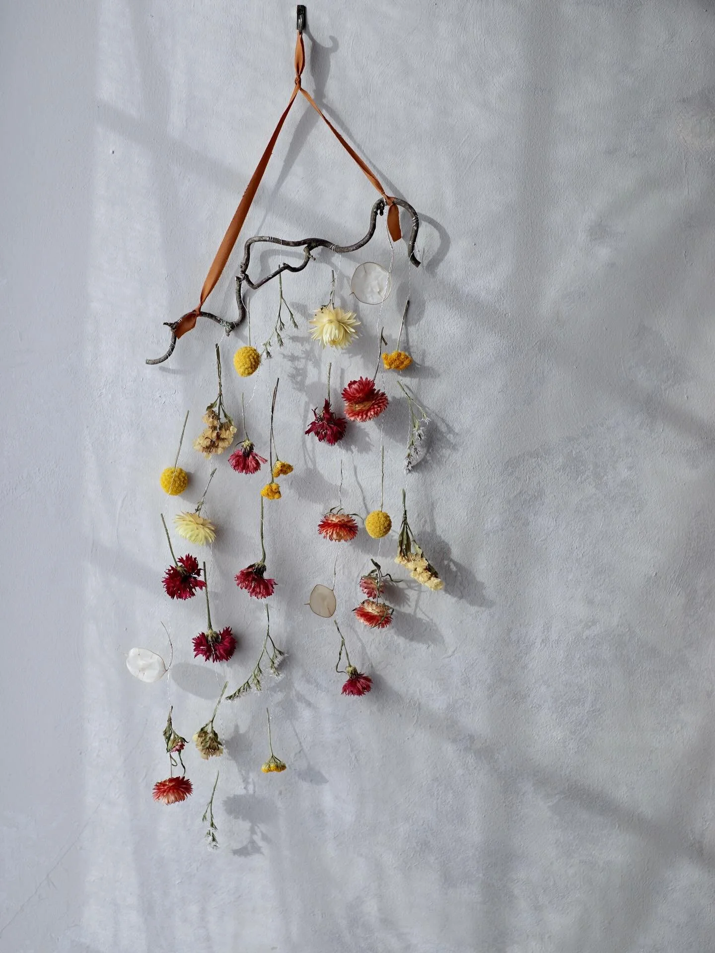 The colour request for this dried flower mobile was so different from what I usually make and I love it so much 🧡

Red cornflowers, orange helichrysum and four different yellow flowers 💛

Made to welcome in the new season &hearts;️

🧡💛&hearts;️🧡