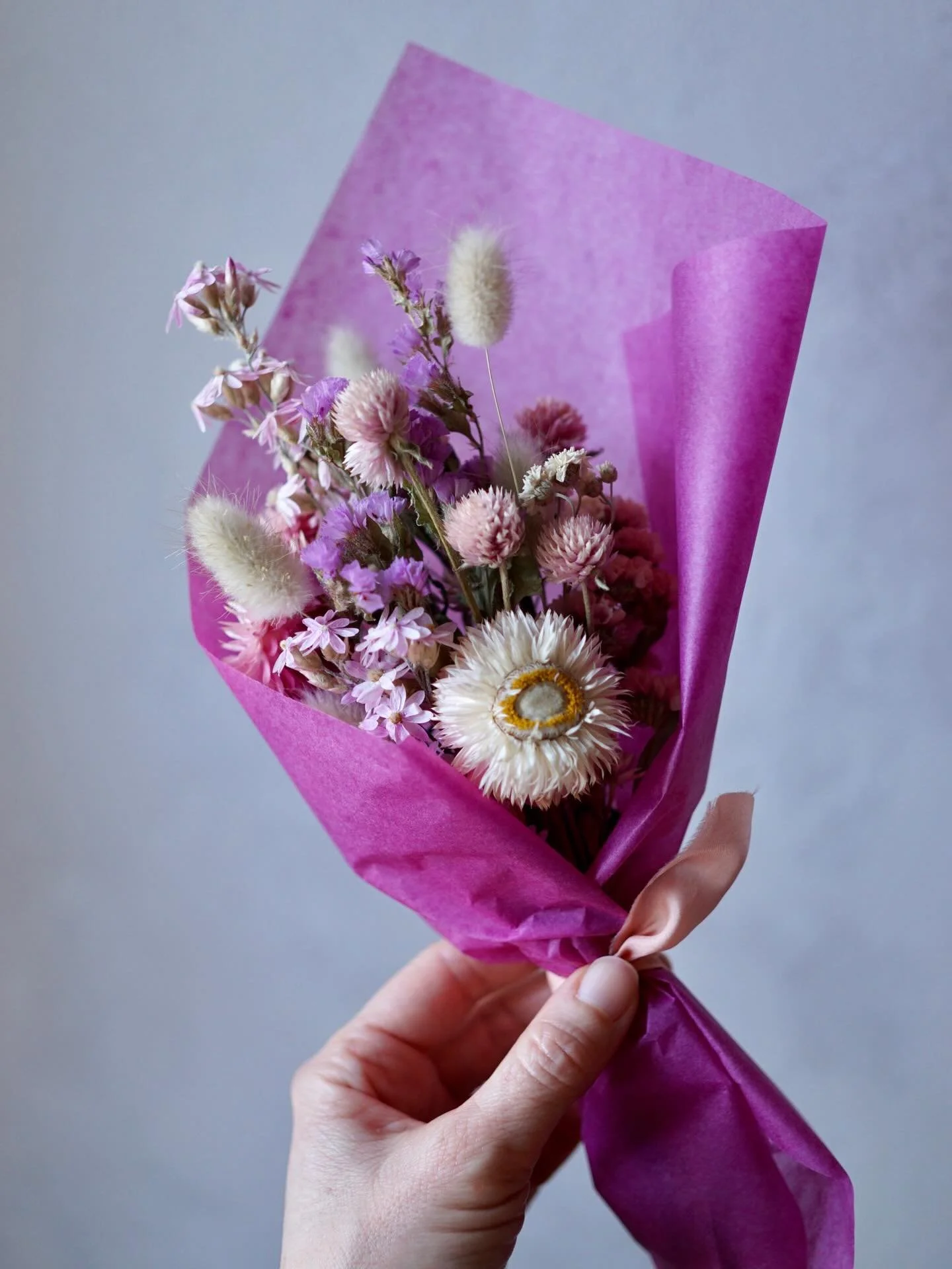 The sun is shining here today and I&rsquo;ll be doing some work outside, getting a place ready to plant my ammi 🌞 Tomorrow&rsquo;s forecast is rain and gusting winds so I might hold off actually planting them until Friday when we&rsquo;re only expec