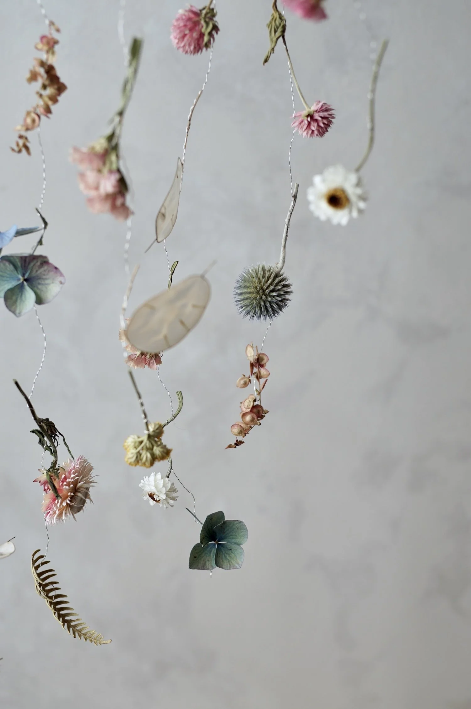 Colourful dried flowers suspended in the air by fine silver wire