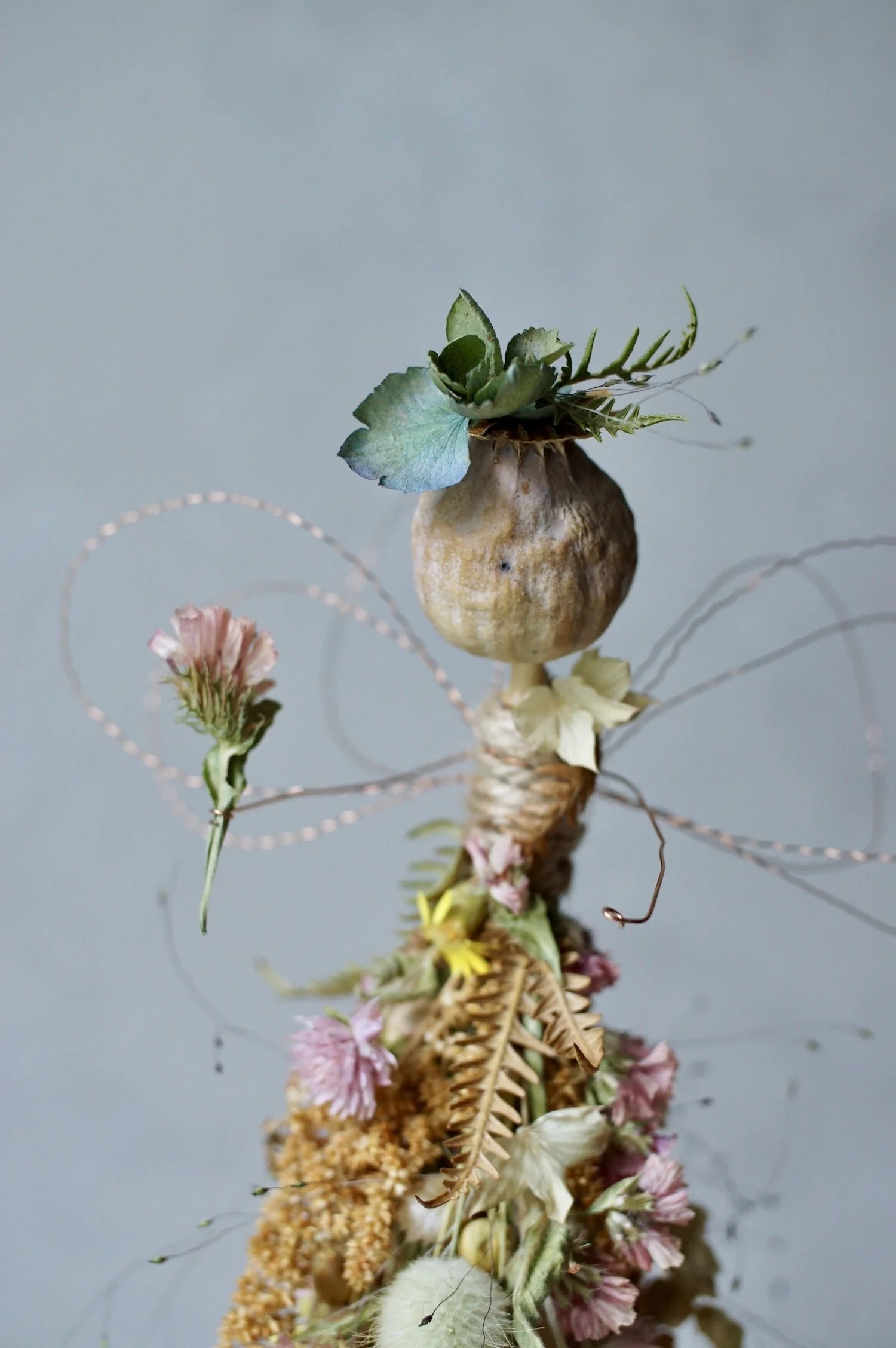 Dried flower poppy seed head fairy with a hydrangea flower for a hat.