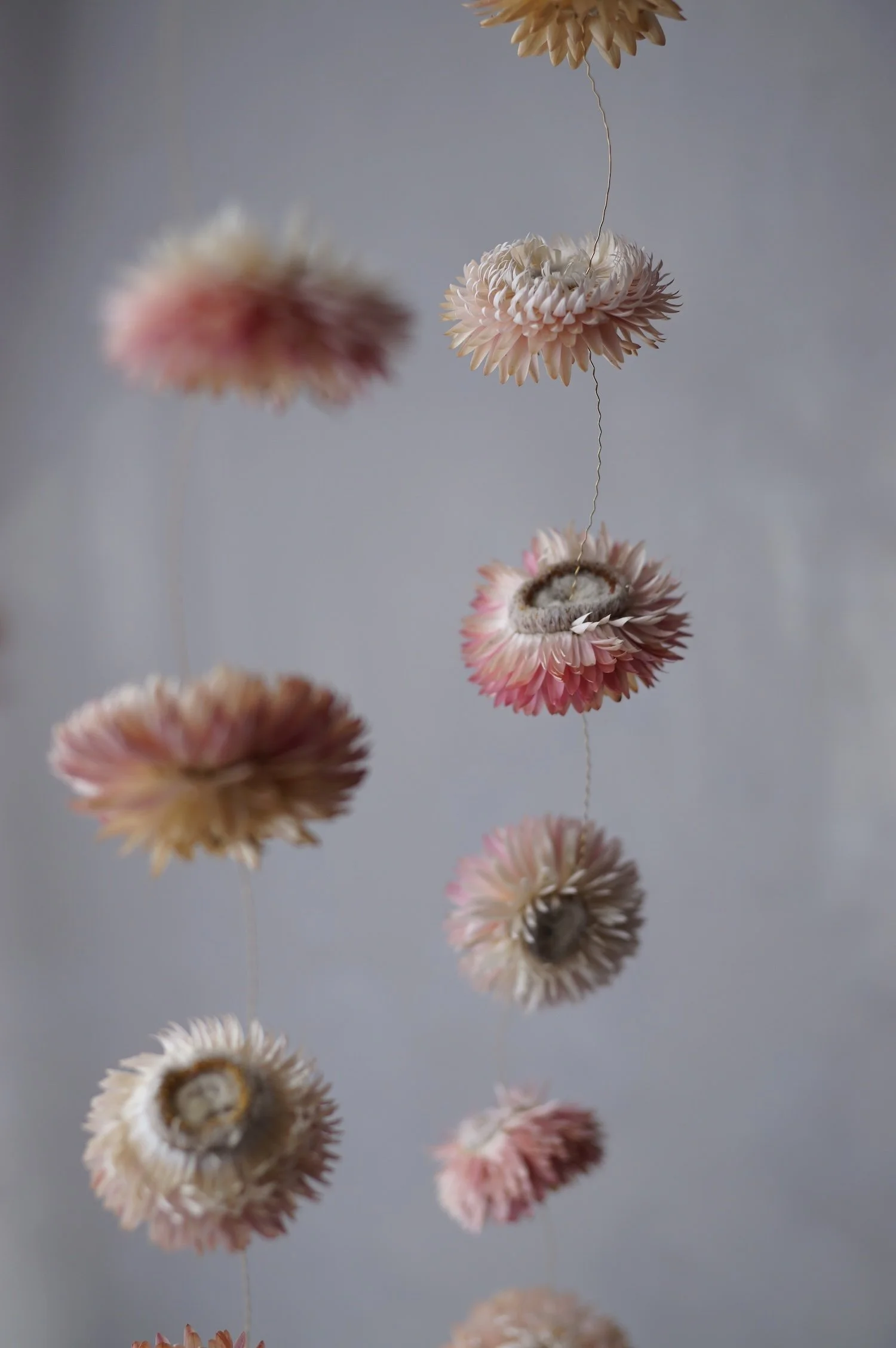 Several strands of pale pink dried flower garlands