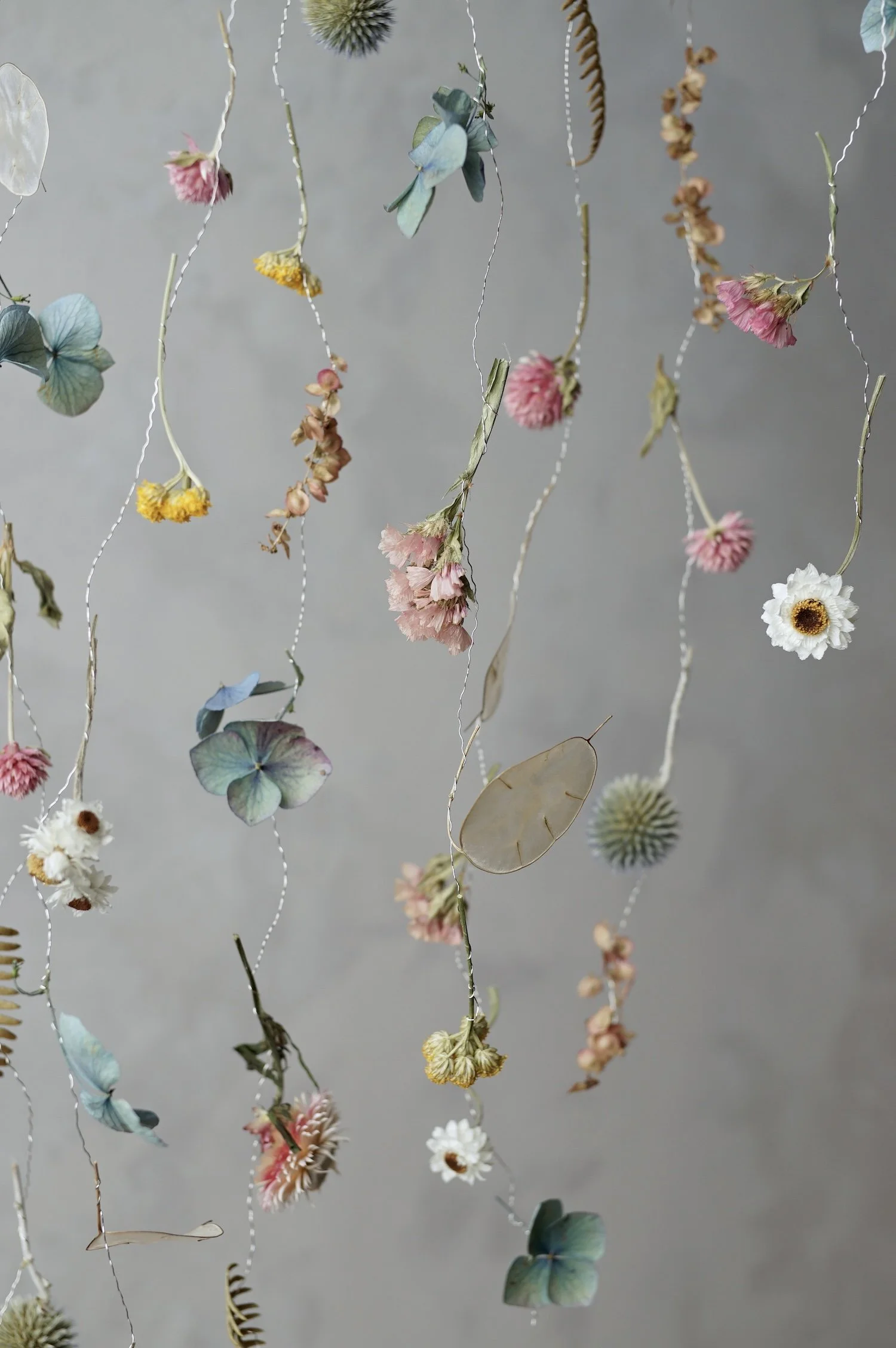Colourful dried flowers suspended in the air by fine silver wire