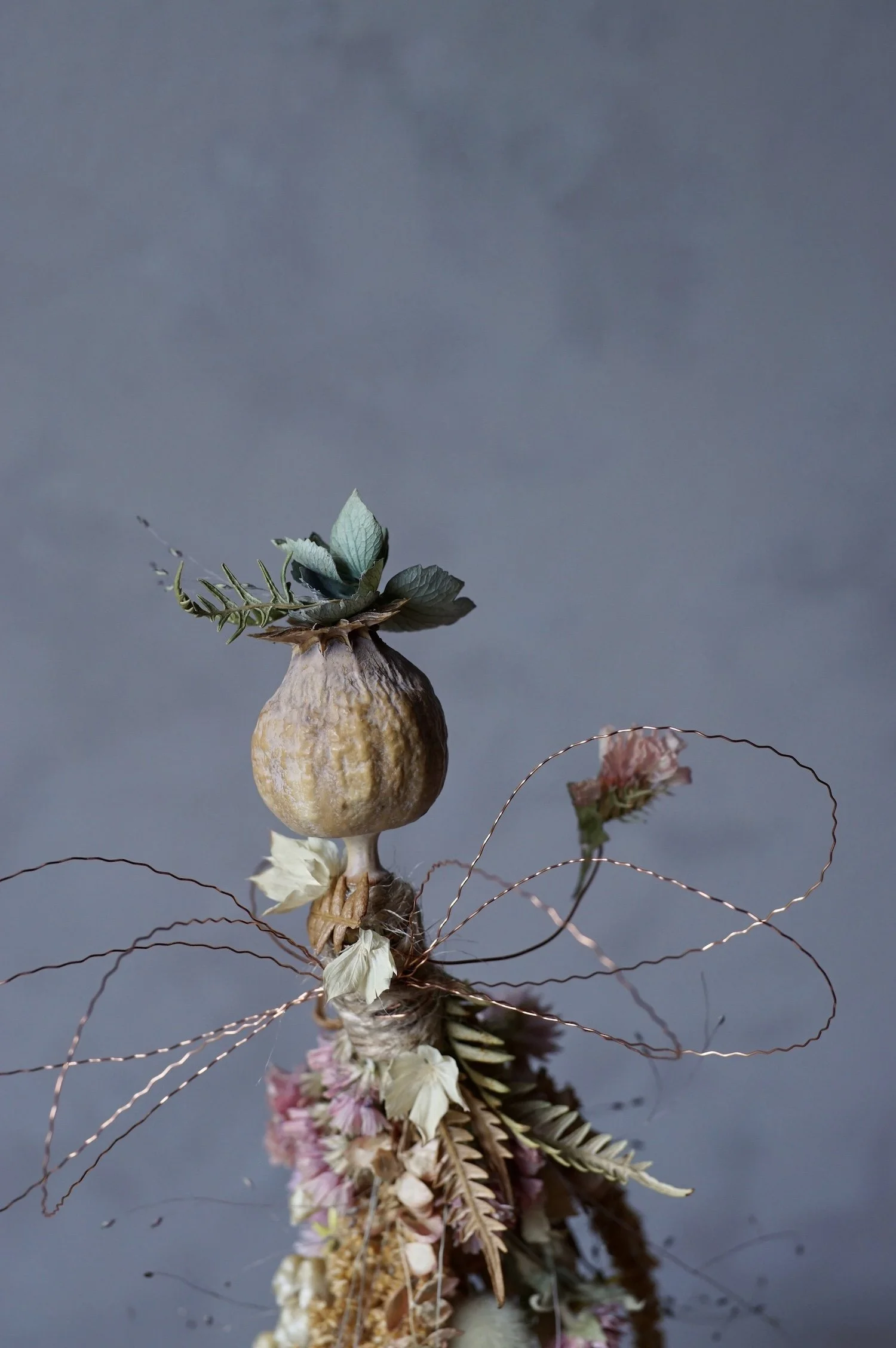 Dried flower poppy seed head fairy with a hydrangea flower for a hat.