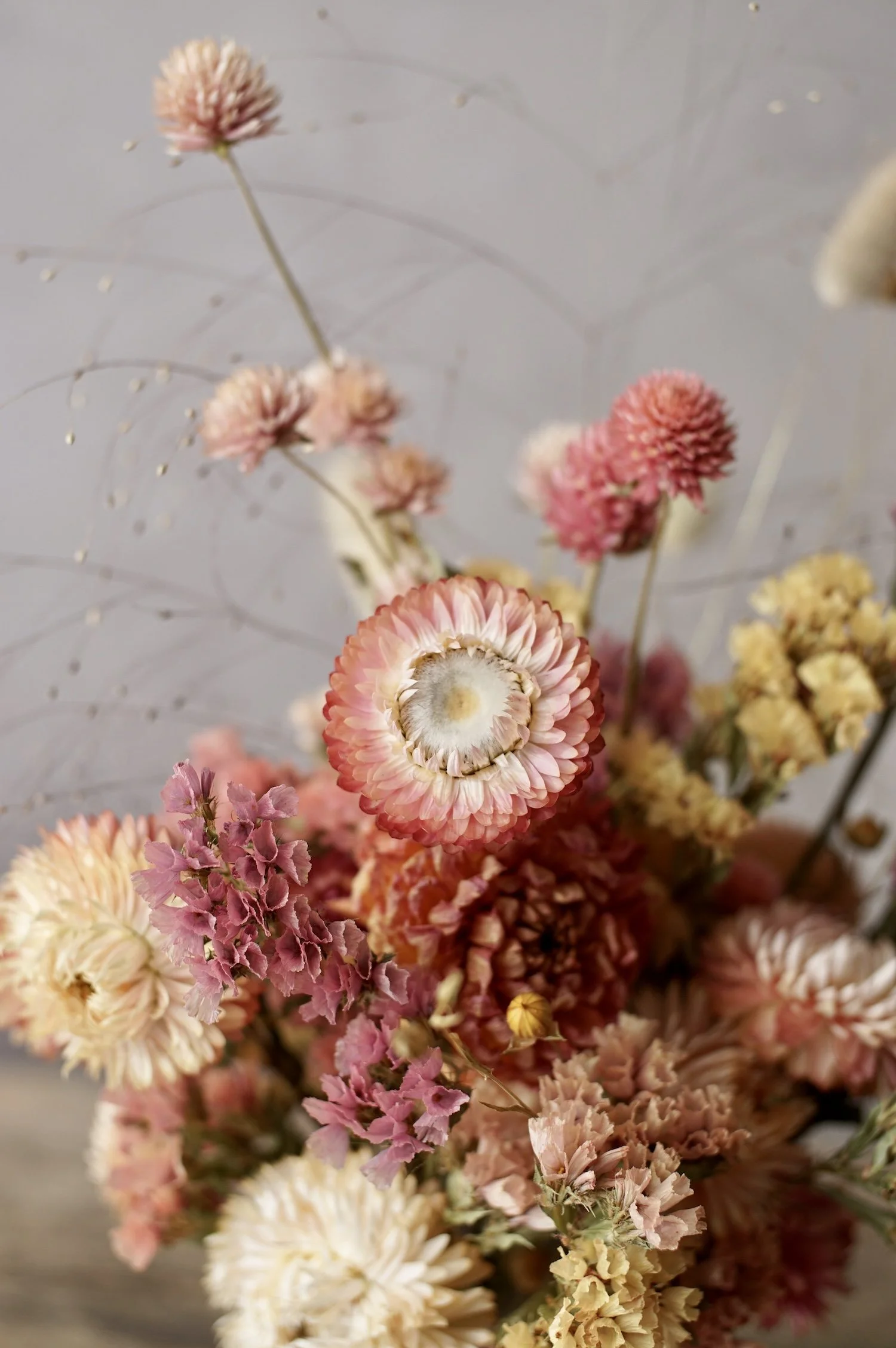 peach-colored-dried-flowers.JPG