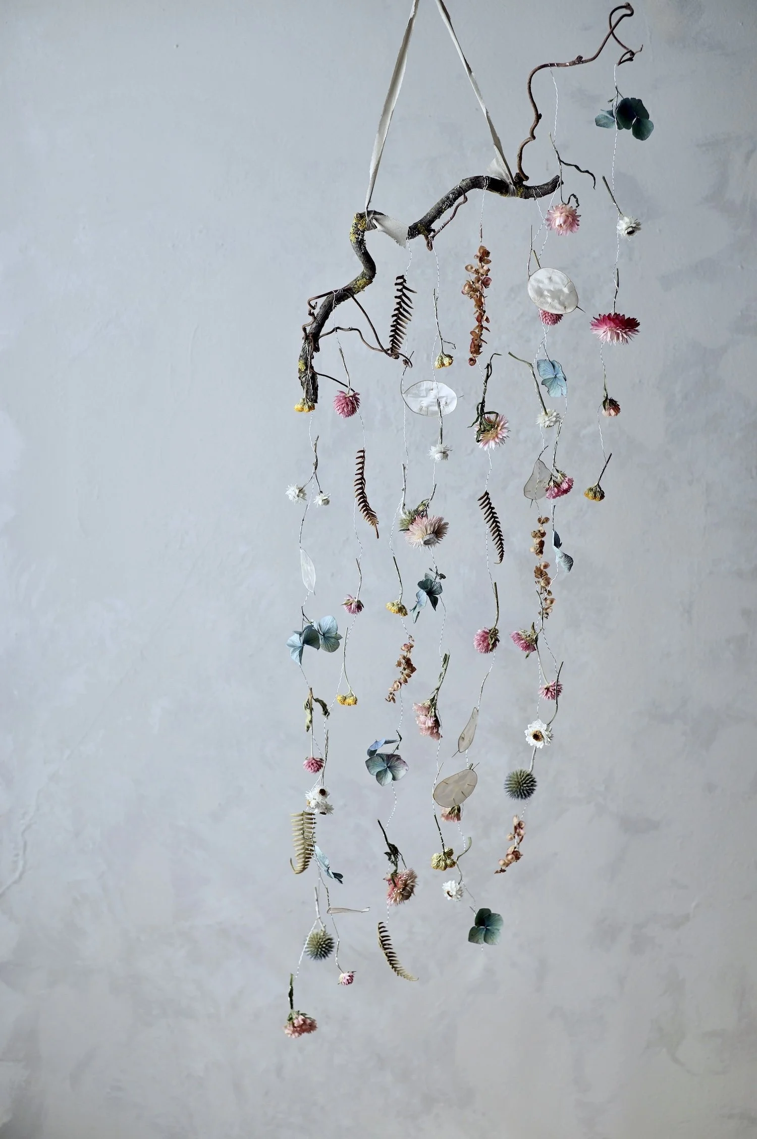Colourful dried flowers and small fern leaves suspended from a curly twig by fine silver wire