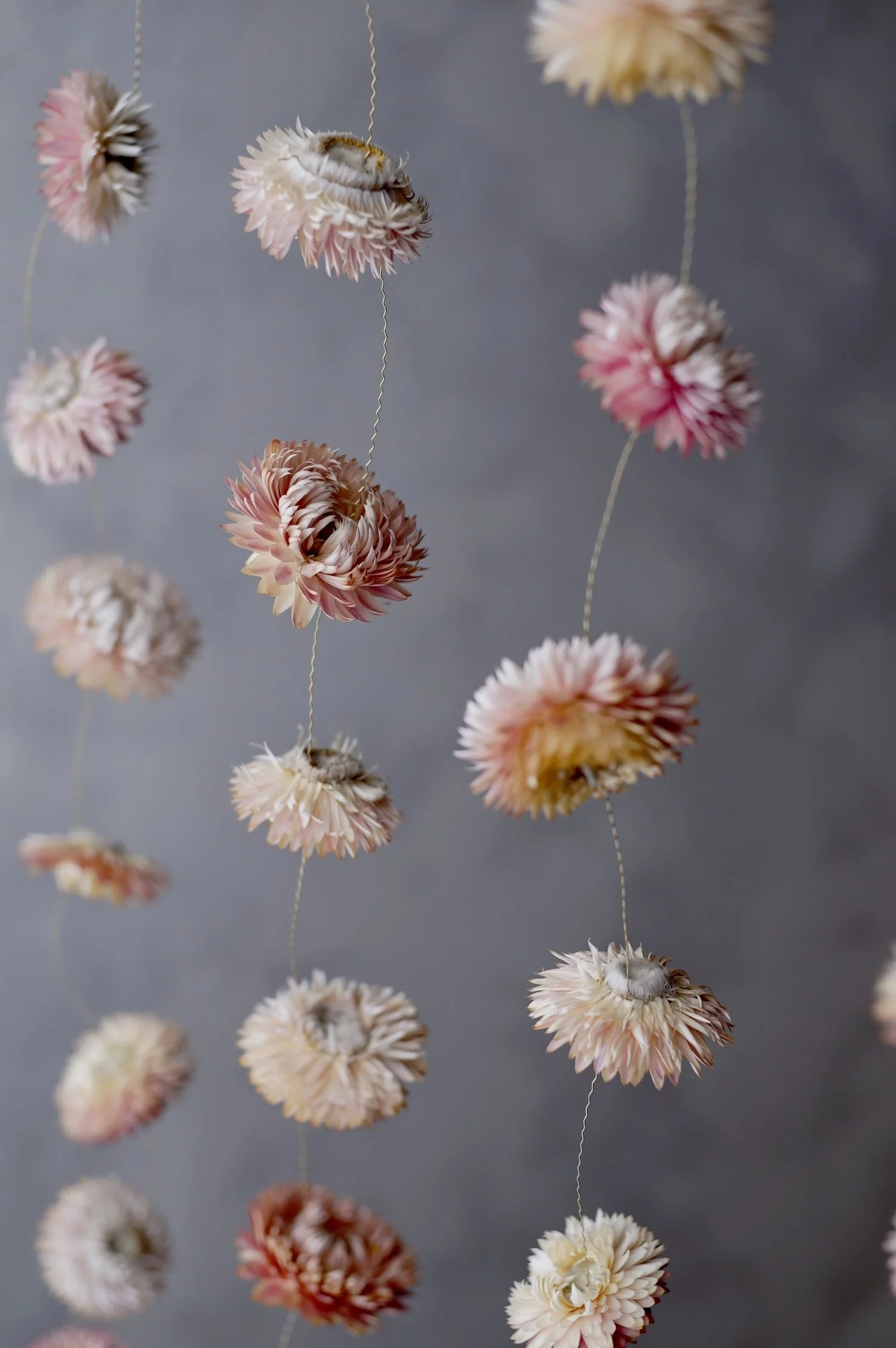 Several strands of pale pink dried flower garlands