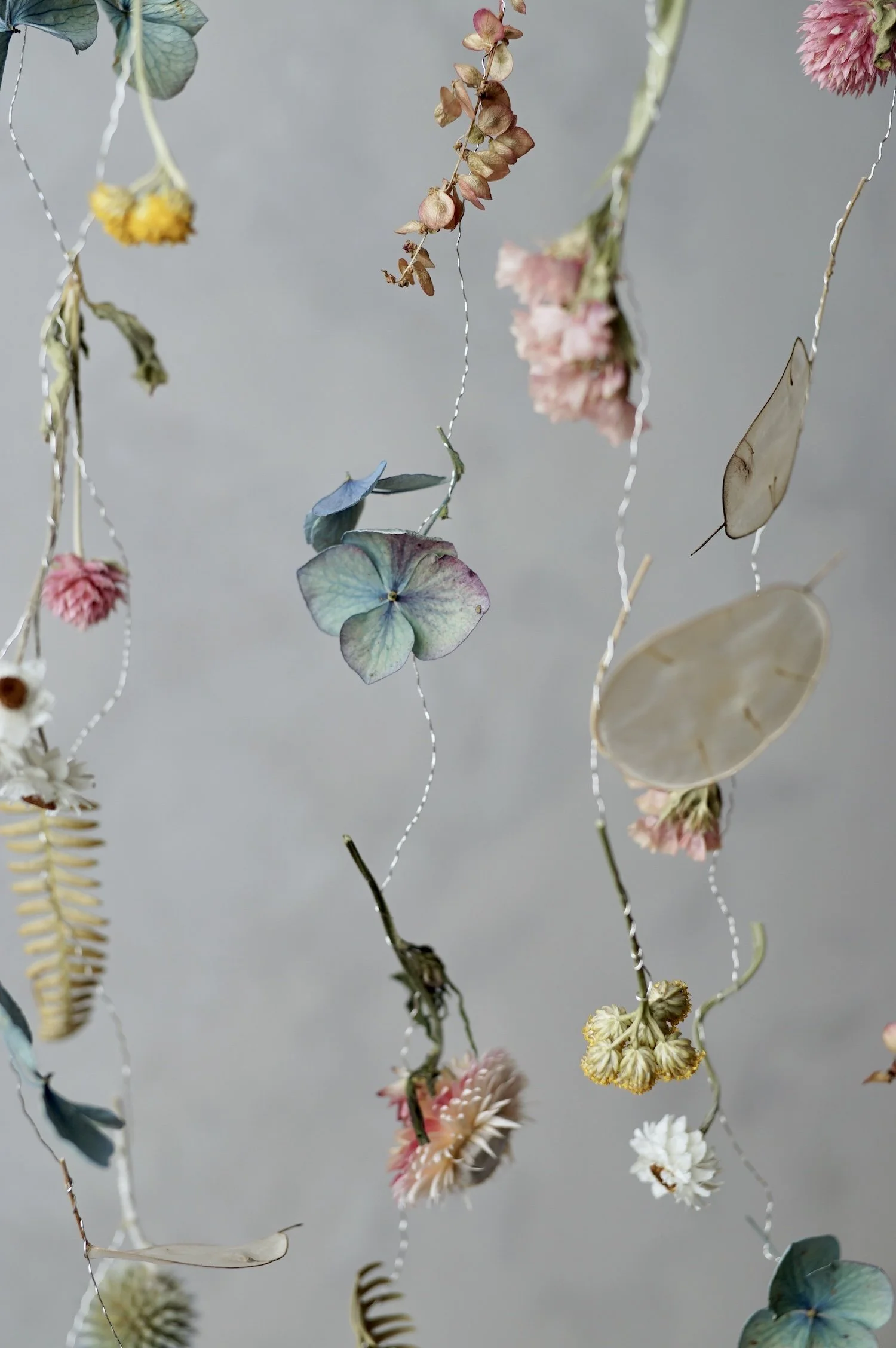 Colourful dried flowers suspended in the air by fine silver wire