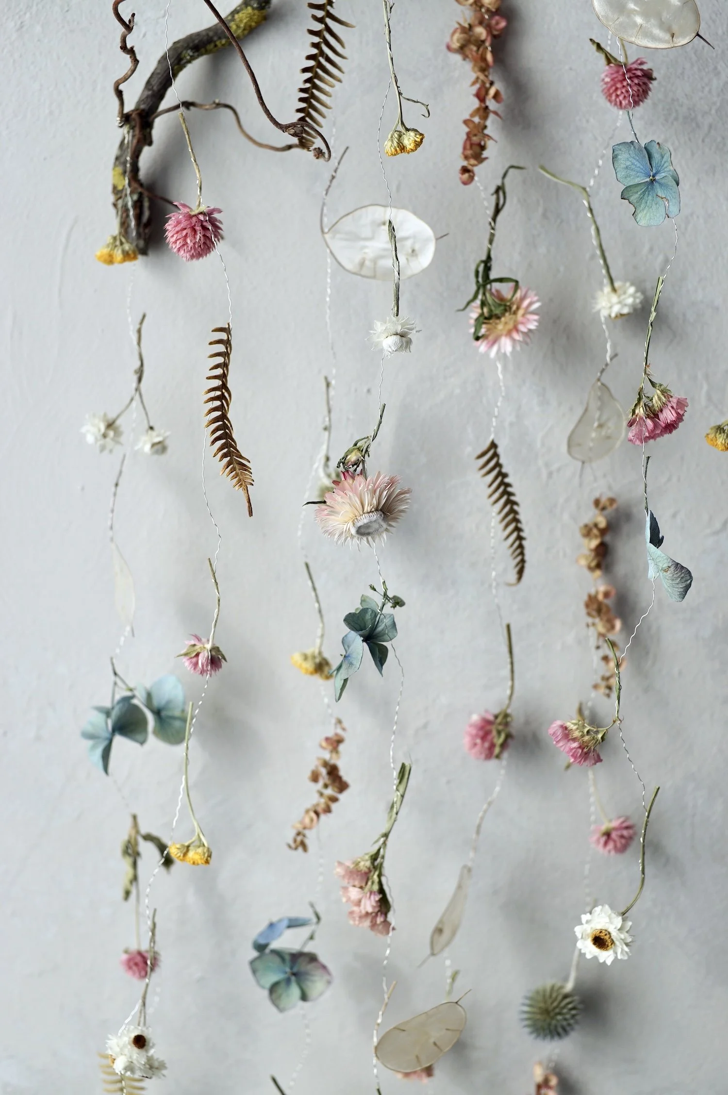 Colourful dried flowers and small fern leaves suspended from a curly twig by fine silver wire