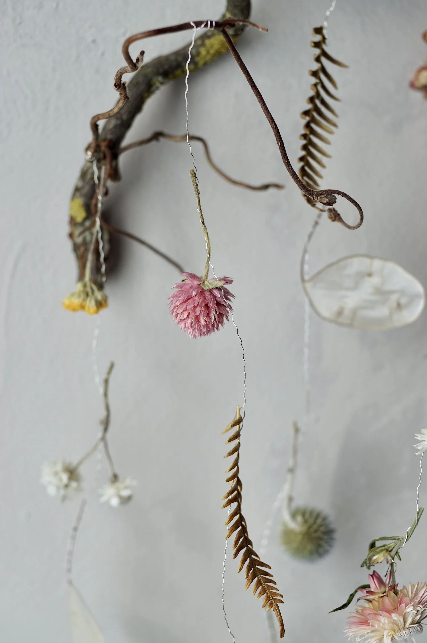 Small curly tree twig with lichen and some small dried flowers suspended from the twig with silver wire