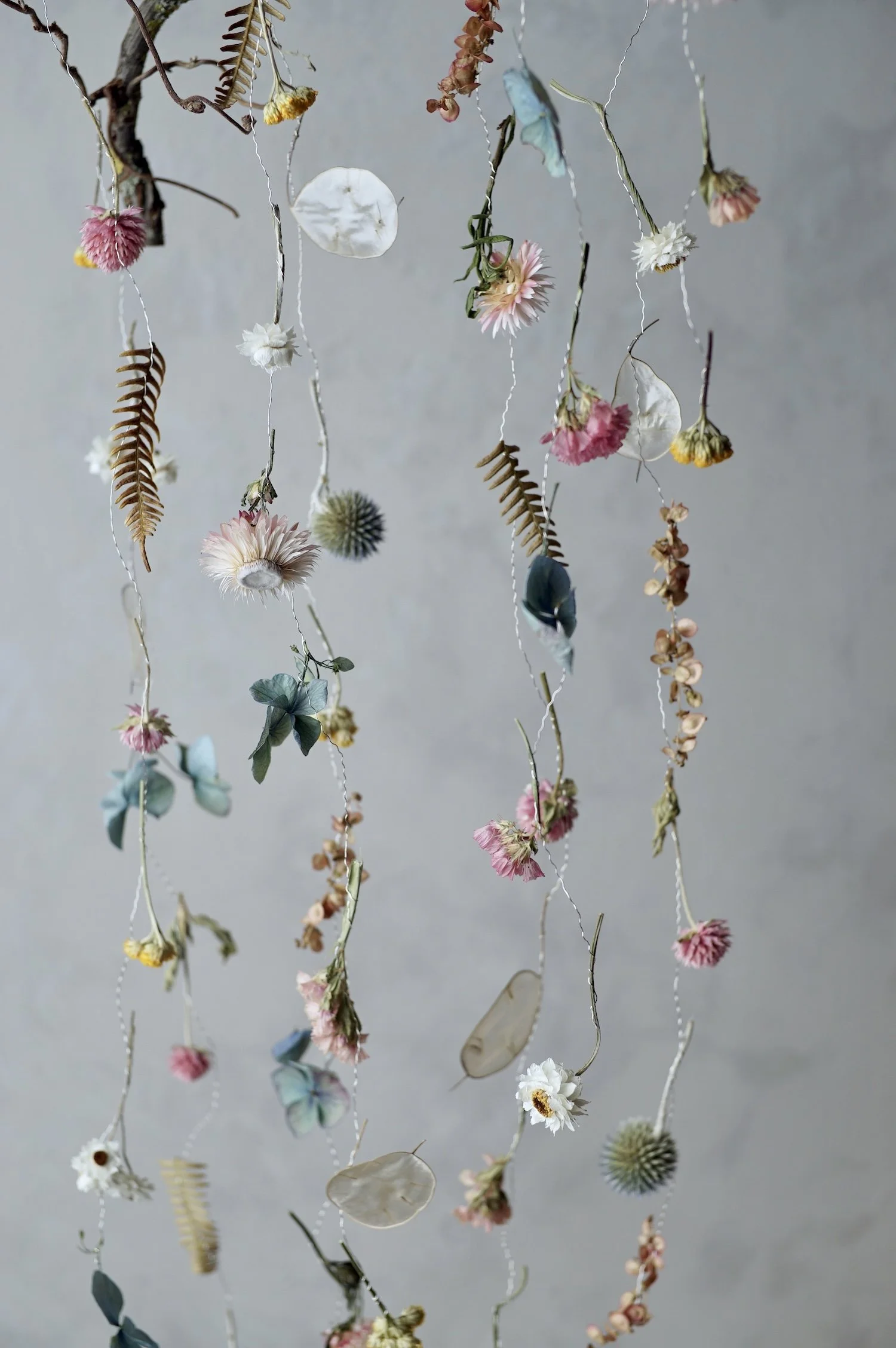 Colourful dried flowers and small fern leaves suspended in the air by fine silver wire