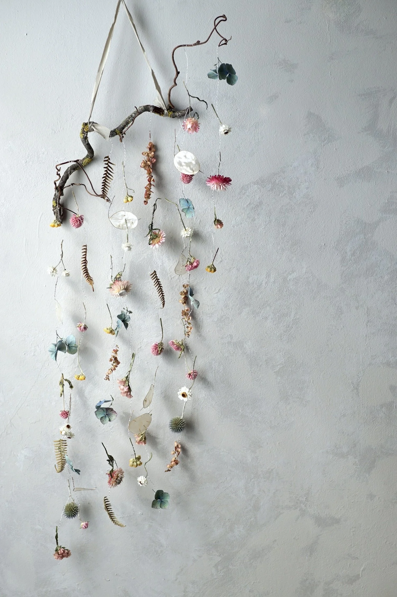 Colourful dried flowers and small fern leaves suspended from a curly twig by fine silver wire